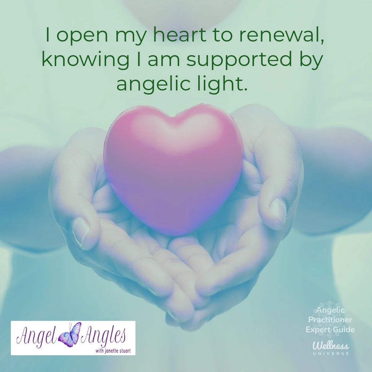 Hello and happy Friday, Mar. 6, 2026. Here's your Angel Affirmation of the Day. 

I open my heart to renewal, kknowing I am supported by angelic light. 

Yes, amen, and so it is. 

Have a beautiful day, dea heart. 
Love,
Janette 
.
.
#WUVIP #WUWorldC