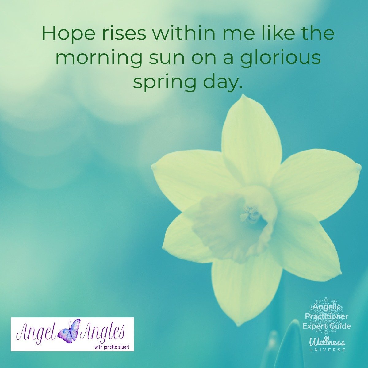 Hello and welcome to your Angel Affirmation for Tues. Mar. 10, 2026.

Hope rises within me like the morning sun on a glorious spring day. 

Blessings of love, joy, and peace.
Love, 
Janette 
.
.
#WUVIP #WUWorldChanger #AngelAffirmations #Hope