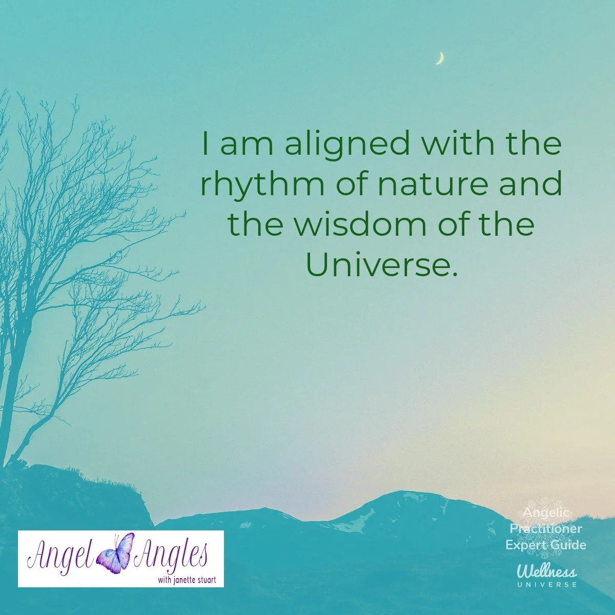 Hello and happy Wednesday, Mar. 11, 2026. Here's your Angel Affirmation of the Day. 

I am aligned with the rhythm of nature and the wisdom of the Universe. 

Blessings of love, joy, and peace.
Love,
Janette 
.
.
#WUVIP #WUWorldChanger #AngelAffirmat
