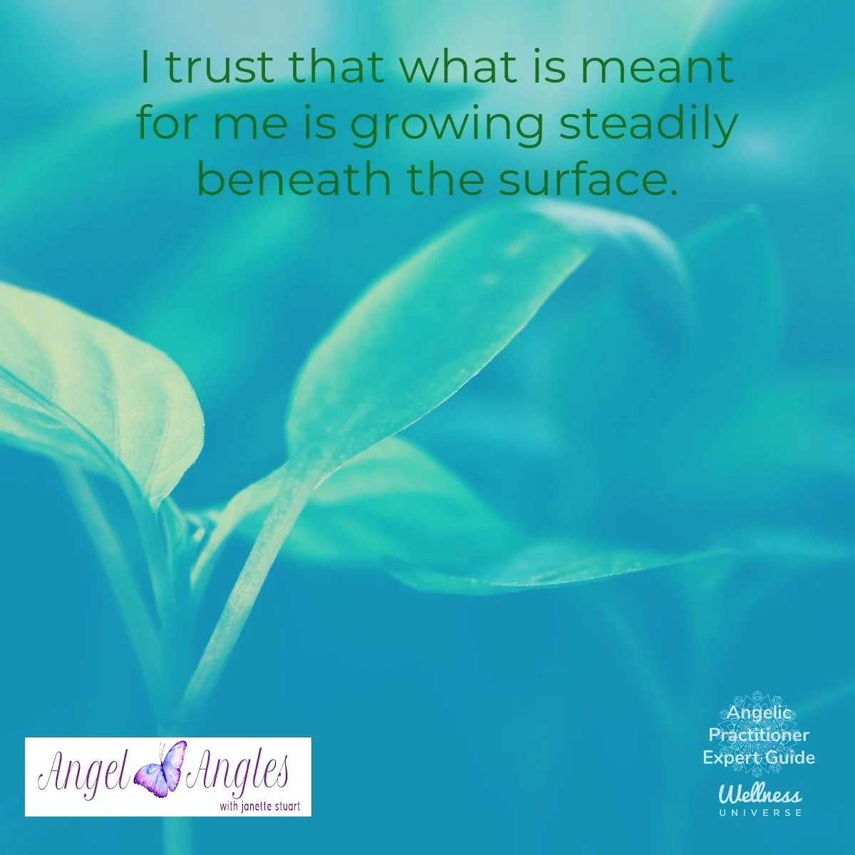 Hello and happy Friday the 13th of March 2026. I LOVE Friday the 13th's. 

I trust that what is meant for me is growing steadily benath the surface. 

Yes, amen, and so it is. 

Blessings of love, joy, and peace.
Love,
Janette 
.
.
#WUVIP #WUWorldCha