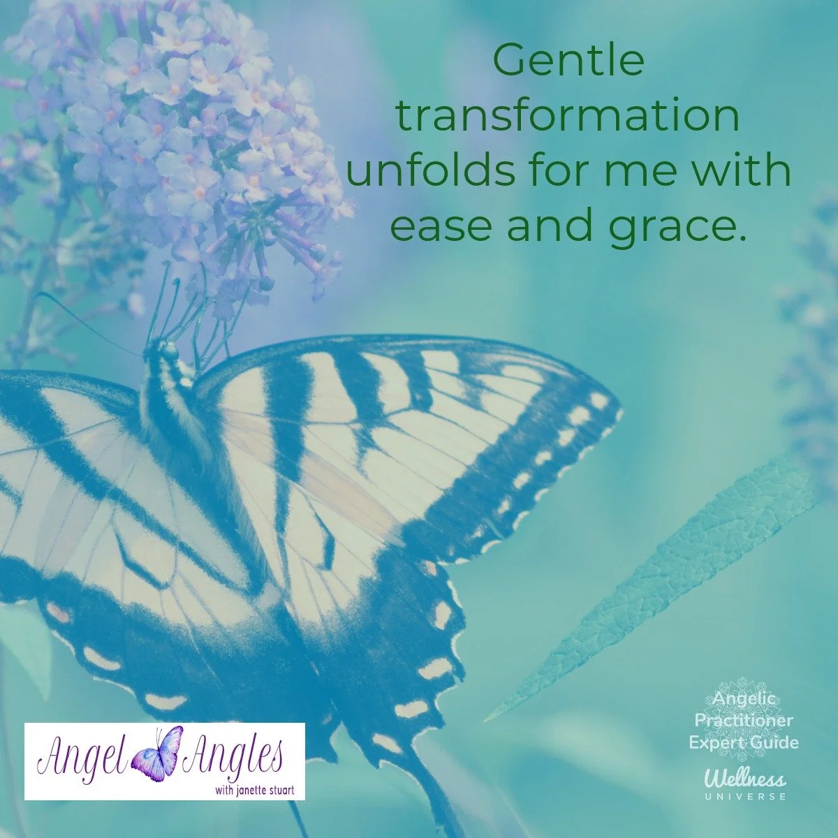 Ooopsies, I forgot to schedule yesterday's Angel Affirmation for Thursday, Mar. 12. It's too pretty and uplifting of a message to simply bypass. 

Someone will see this message in the perfect, divine timing. May it bless you today, dear heart. 

Here