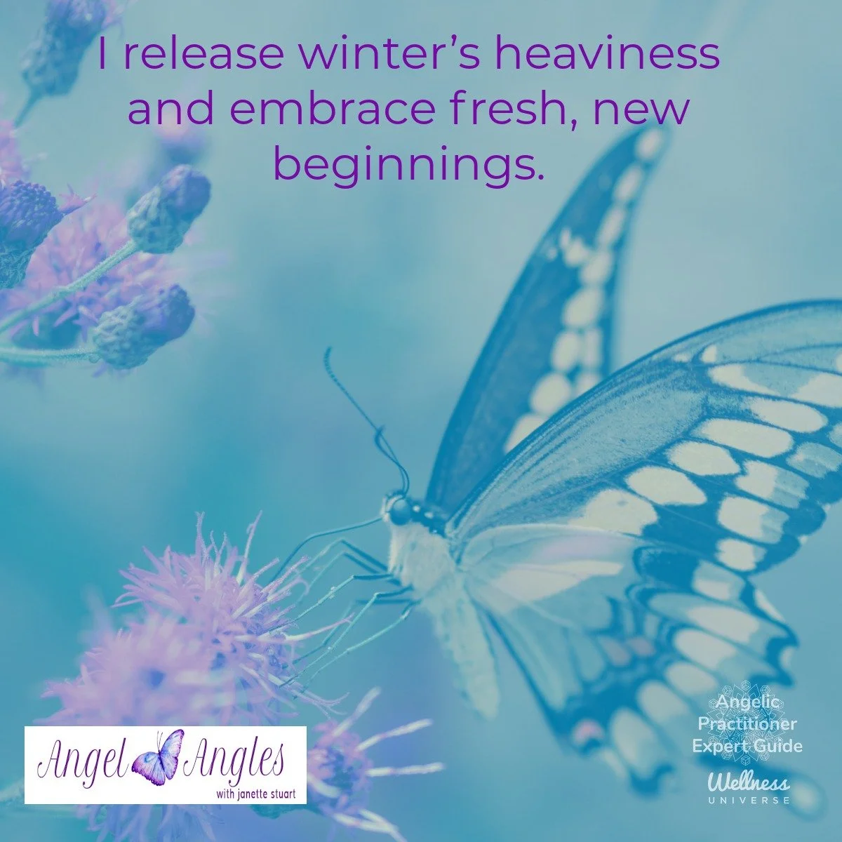 Hello and welcome to your Angel Affirmation for Monday, Mar. 16, 2026. 

I release winter's heaviness and embrace fresh, new beginnings. Yes, amen, and so it is. 

Blessings of love, joy, and peace.
Love,
Janette 
.
.
#WUVIP #WUWorldChanger #AngelAff