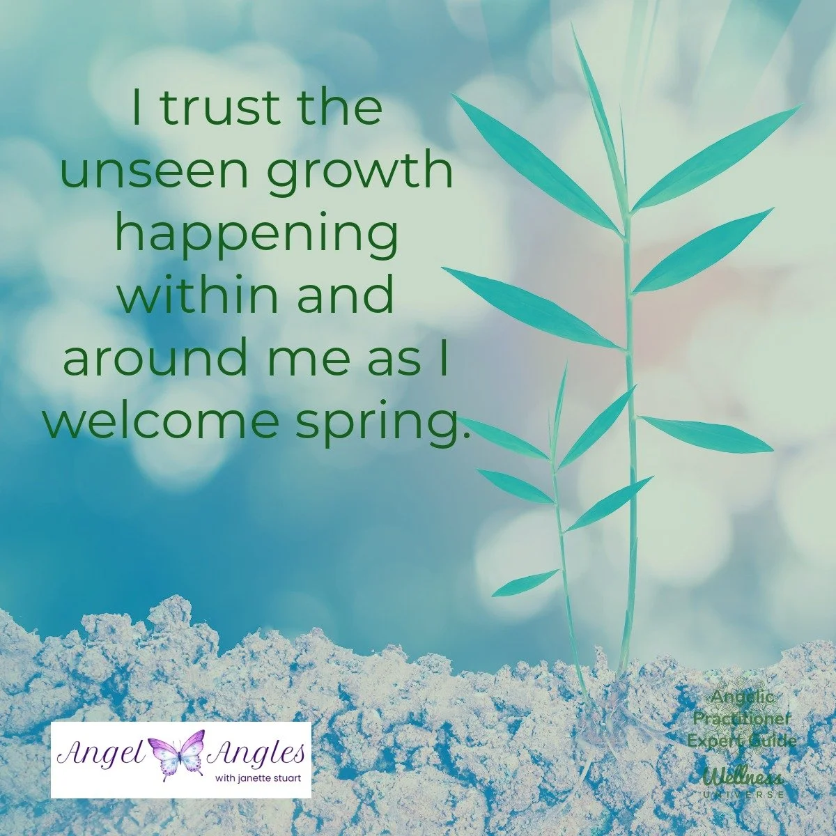 Hello and happy Friday, Mar. 20, 2026. Here's your Angel Affirmation of the Day. 

I turst the unseen growth happening within and around me as I welcome spring. 

Yes, amen, and so it is. 

Blessings of love, joy, and peace.
Love,
Janette 
.
.
#WUVIP