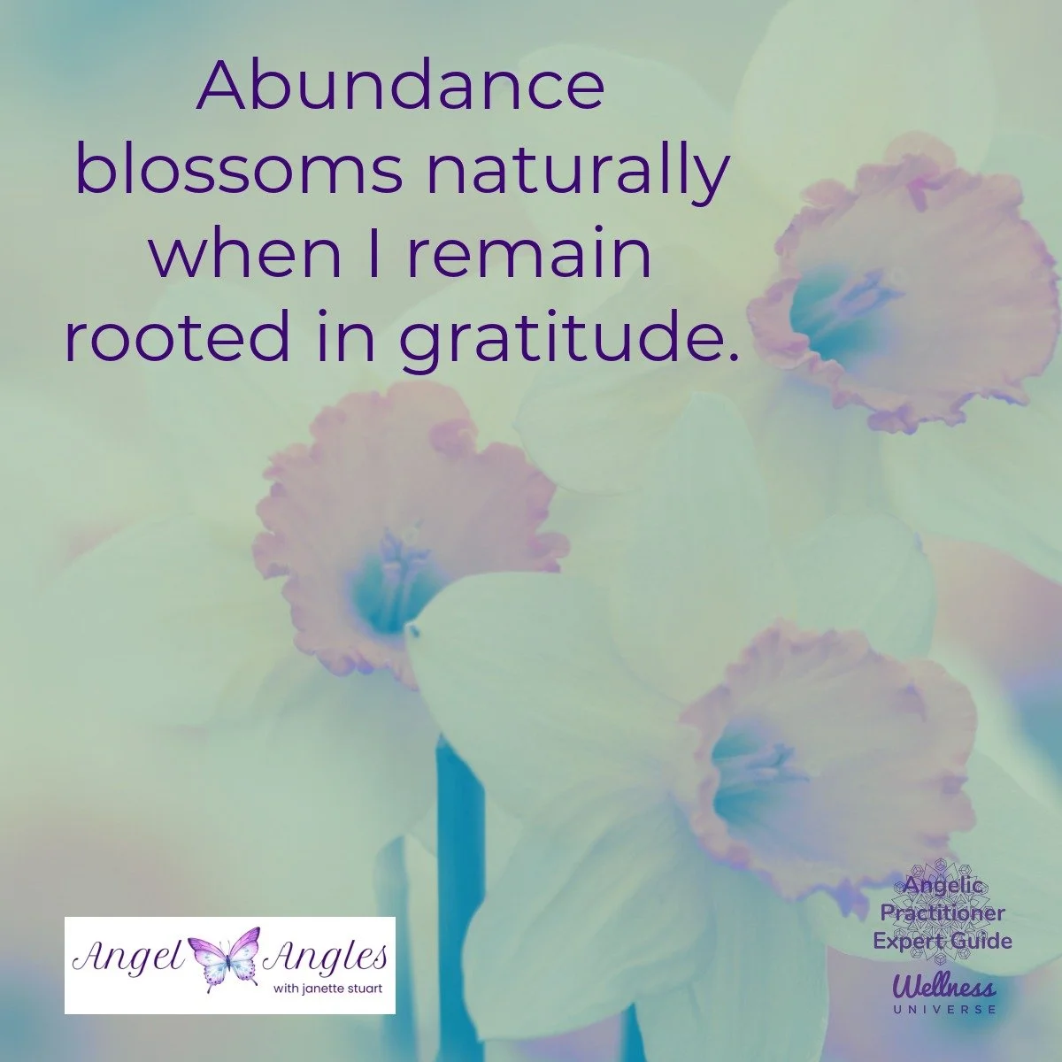Hello and welcome to your Angel Affirmation for Mon. Mar. 23, 2026. 

Abundance blossoms naturally when I remain rooted in gratitude. 

Yes, amen, and so it is. 

Blessings of love, joy, and peace.
Love,
Janette 
.
.
#WUVIP #WUWorldChanger #Abundance