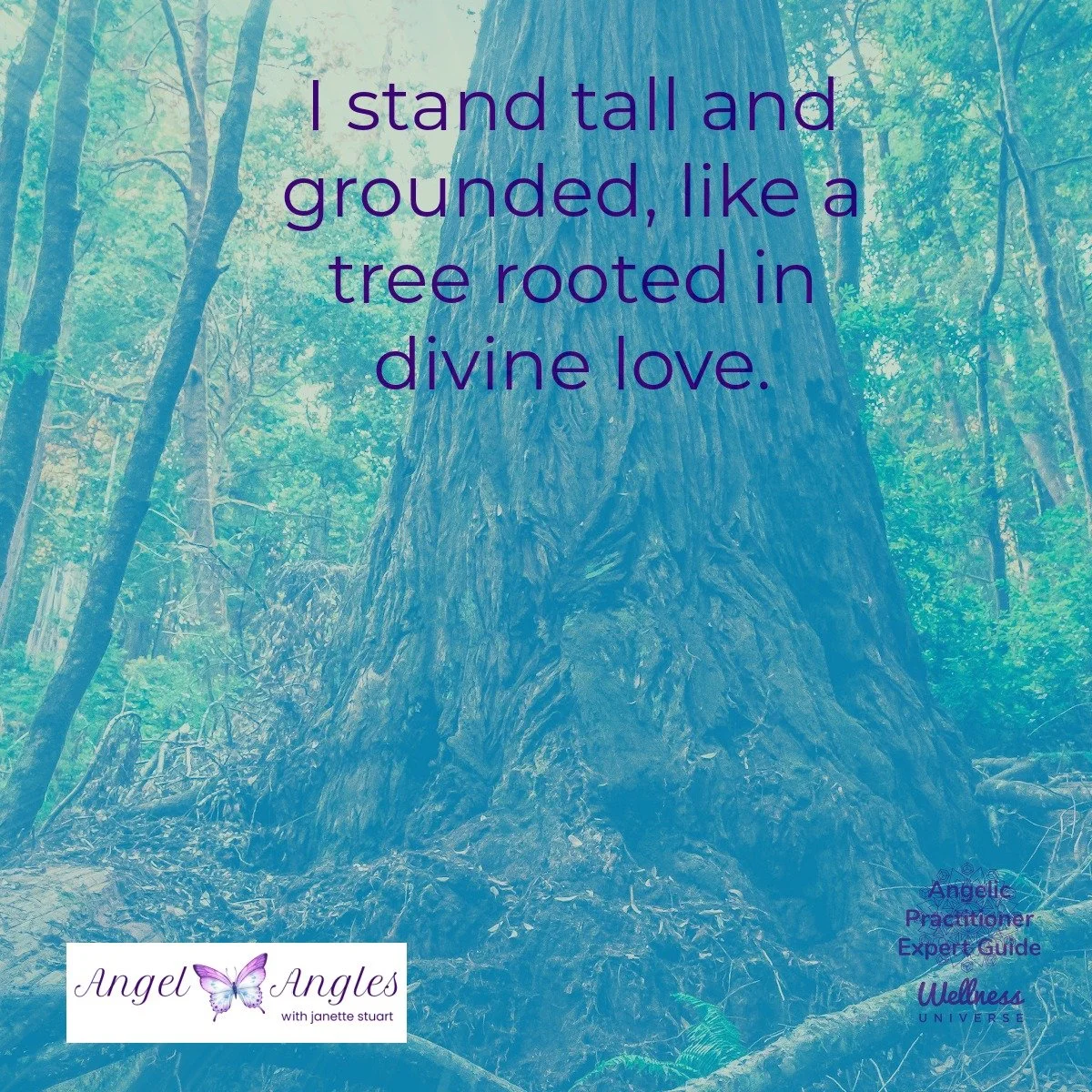Hello and welcome to your Angel Affirmation for Wed. Mar. 25, 2026. 

I stand tall and grounded, like a tree rooted in divine love. 

Feel the love, the strength, the flexibility, and the connection. 

Blessings of love, joy, and peace. 
Love,
Janett