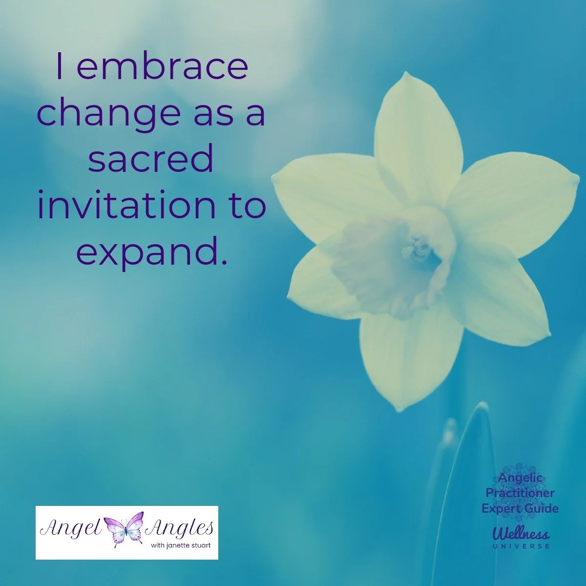 Almost forgot to post this gem today...all in divine timing. 

Here is your Angel Affirmation for Friday, Mar. 27, 2026. 

I embrace change as a sacred invitation to expand. 

Yes, amen, and so it is. 

Blessings of love, joy, and peace.
Love,
Janett