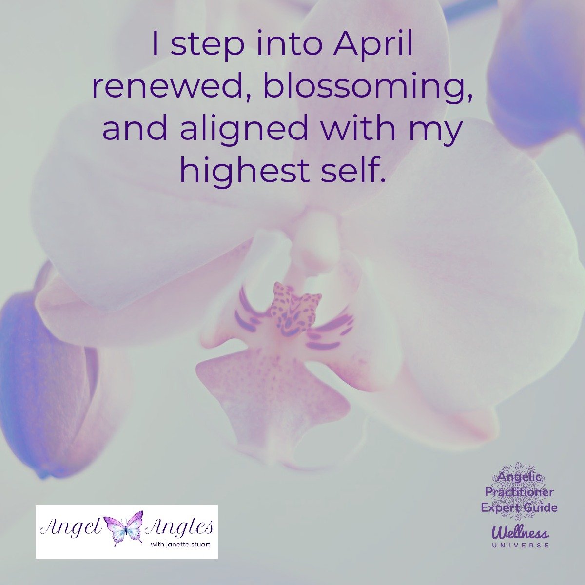 Hello and happy Tuesday, Mar. 31, 2026. Here's your Angel Affirmation of the Day. 

I step into April renewed, blossoming, and aligned with my highest self. 

Yes, amen, and so it is. 

Blessings of love, joy, and peace. 
Love, 
Janette 
.
.
#WUVIP #