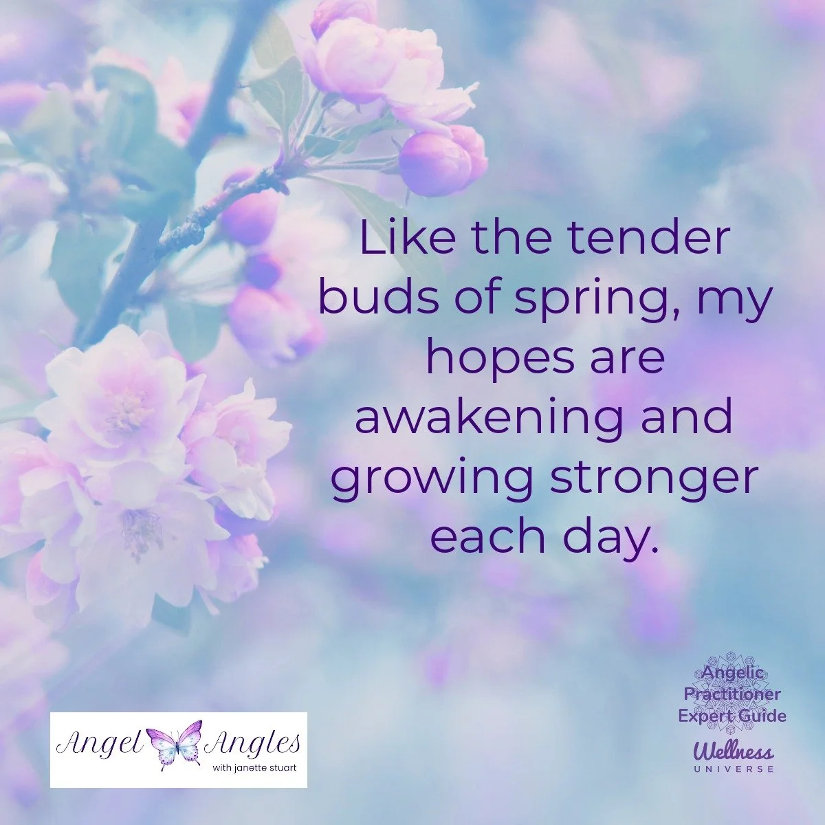 Hello and happy Thursday, April 2, 2026. Here's your Angel Affirmation of the Day. 

Like the tender buds of spring, my hopes are awakening and growing stronger each day. 

Enjoy the beauty of spring/fall in your part of the world, dear heart. What a