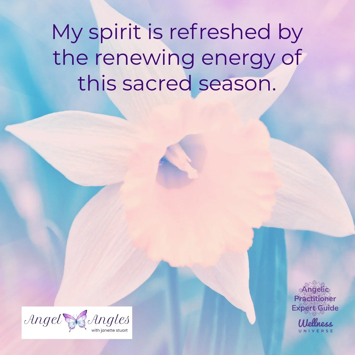 Hello and happy Wednesday, April 8, 2026. Here's your Angel Affirmation of the Day. 

My spirit is refreshed by the renewing energy of this sacred season. 

Blessings of love, joy, and peace.
Love,
Janette 
.
.
#WUVIP #WUWorldChanger #AngelAffirmatio