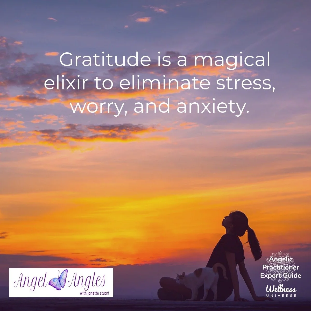 Gratitude is a quiet kind of magic. When you gently turn your attention toward what is good, even in the smallest ways, your body softens, and your mind begins to settle. 

Stress eases. 
Worry loosens its grip. 
Anxiety finds less space to take hold
