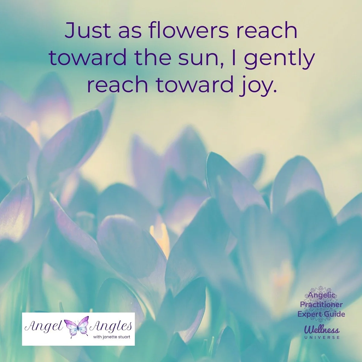 Hello and welcome to your Angel Affirmation for Friday, April 10, 2026. 

Just as flowers reach toward the sun, I gently reach toward joy. 

Photo courtesy of Aaron Burden on Unsplash 

Blessings of love, joy, and peace. 
Love,
Janette 
.
.
#WUVIP #W