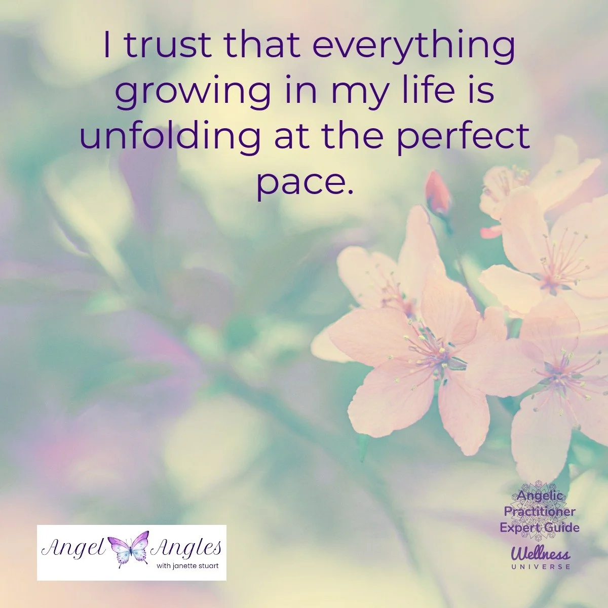 Hello and happy Saturday, April 11, 2026. Here's your Angel Affirmation of the Day. 

I trust that everything growing in my life is unfolding at the perfect pace. 

Yes, amen, and so it is. 

What's growing in your life, dear heart? 

Photo courtesy 