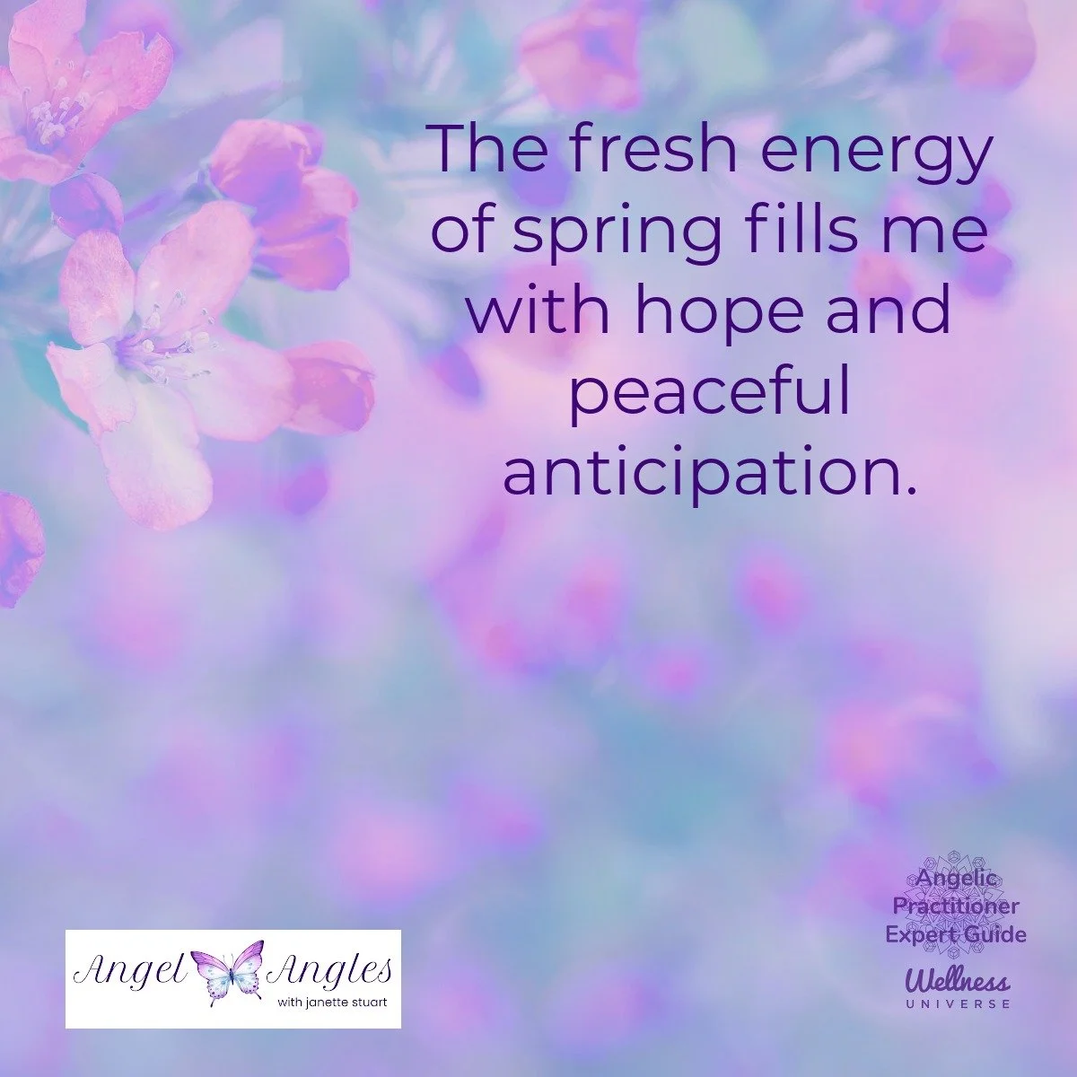 Your Angel Affirmation for Monday, April 13, 2026. 

The fresh energy of spring fills me with hope and peaceful anticipation. 

Yes, amen, and so it is. 

Blessings of love, joy, and peace. 
Love,
Janette 
.
.
#WUVIP #WUWorldChanger #Spring #AngelAff