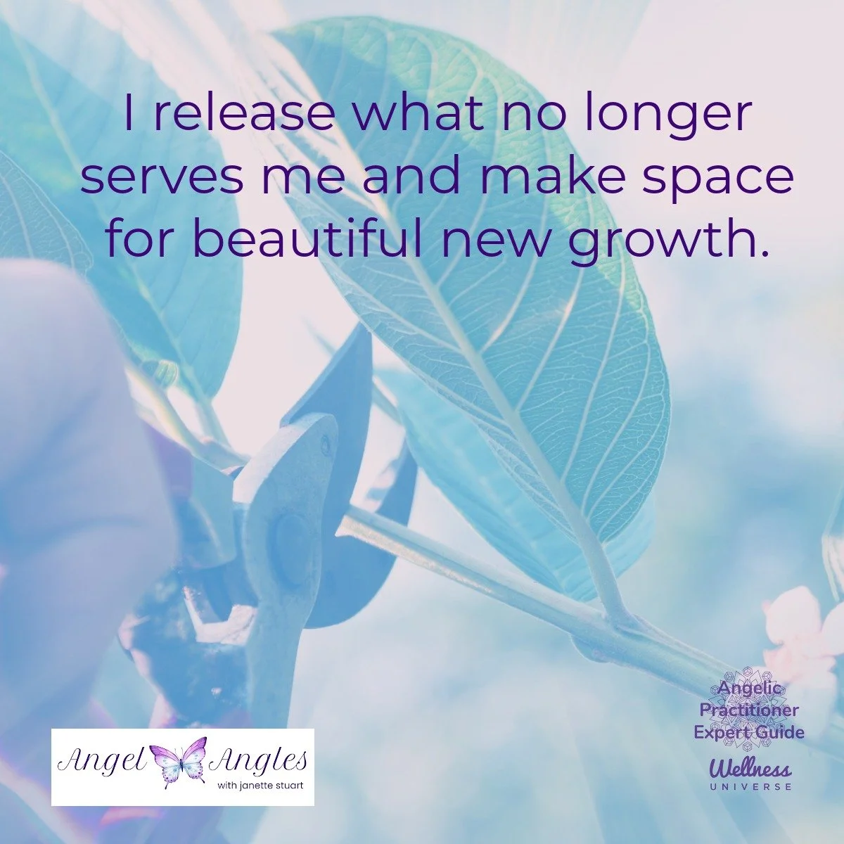 Hello and happy Tuesday, April 14, 2026. Here's your Angel Affirmation of the Day. 

I release what no longer serves me and make space for beautiful new growth. 

Amen, and so it is. 

Blessings of love, joy, and peace.
Love,
Janette 
.
.
#WUVIP #WUW