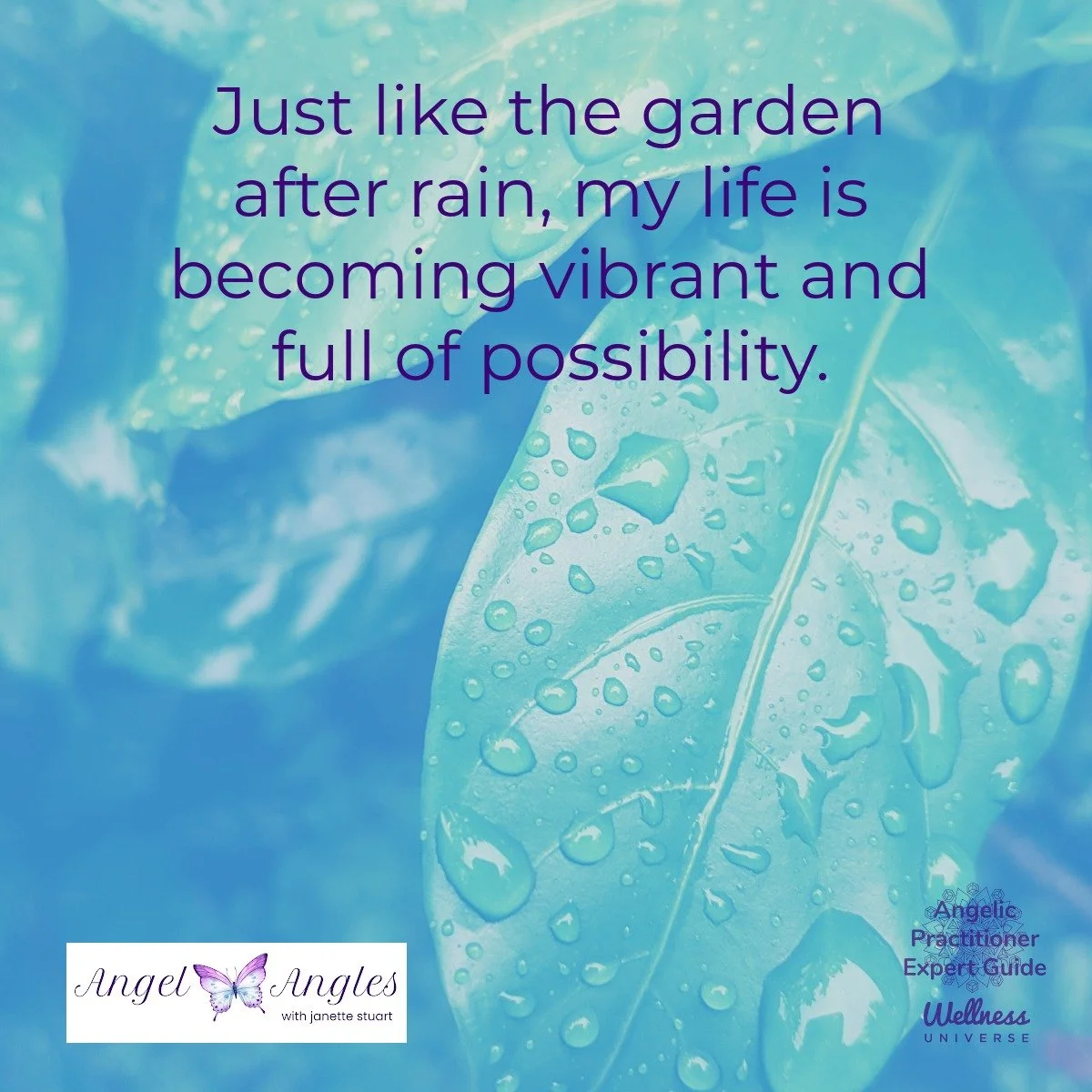 Hello and happy Monday, April 20, 2026. Here's your Angel Affirmation of the Day. 

Just like the garden after rain, my life is becoming vibrant and full of possibility. 

Yes, soak it all in, dear heart. 

Blessings of love, joy, and peace.
Love,
Ja