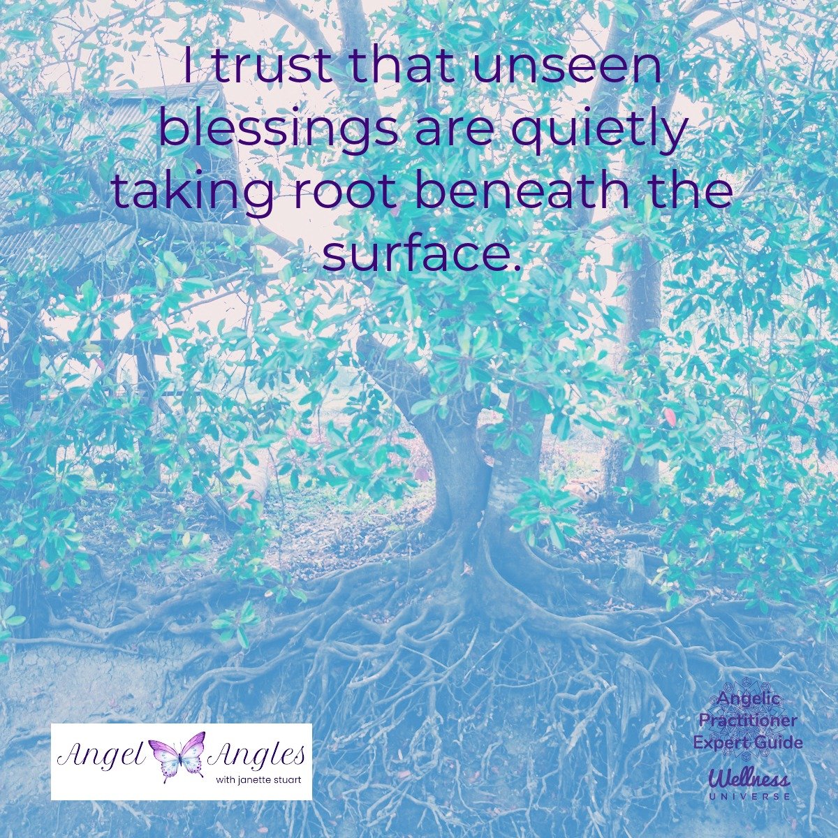 Hello and happy Tuesday, April 21, 2026. Here's your Angel Affirmation of the Day. 

I trust that unseen blessings are quietly taking root beneath the surface. 

Blessings of love, joy, and peace.
Love,
Janette 
.
.
#WUVIP #WUWorldChanger #AngelAffir