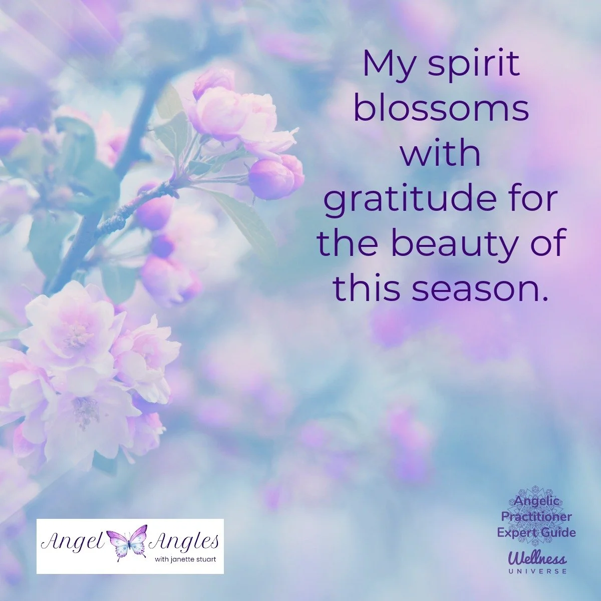 Hello and happy Earth Day, April 22, 2026. Here's your Angel Affirmation of the Day. 

My spirit blossoms with gratitude for the beauty of this season. 

Blessings of love, joy, and peace.
Love,
Janette 
.
.
#WUVIP #WUWorldChanger #Gratitude #AngelAf