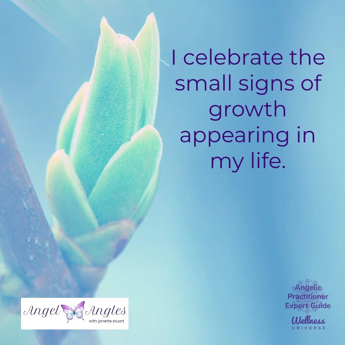 Hello and happy Friday, April 24, 2026. Here's your Angel Affirmation of the Day. 

I celebrate the small signs of growth appearing in my life. 

Yes, Amen, and so it is. 

Blessings of love, joy, and peace.
Love,
Janette 
.
.
#WUWorldChanger #AngelA