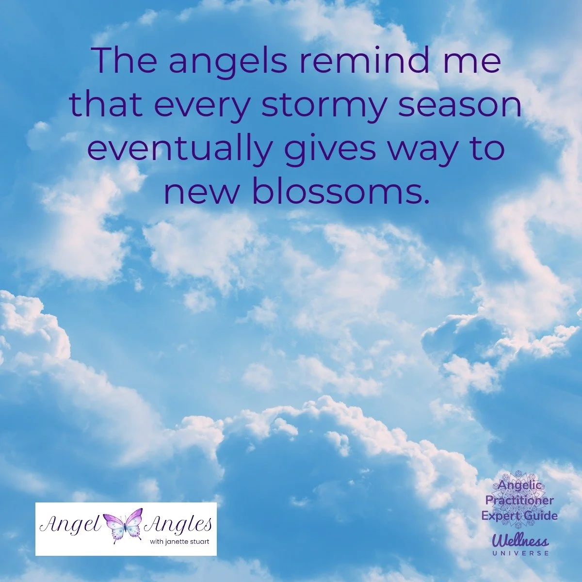 Hello and happy Saturday, April 25, 2026. Here's your Daily Angel Affirmation. 

The angels remind me that every storm season eventually gives way to new blossoms. Yes, those storm clouds will clear. 

Wishing you a beautiful day.

Blessings of love,