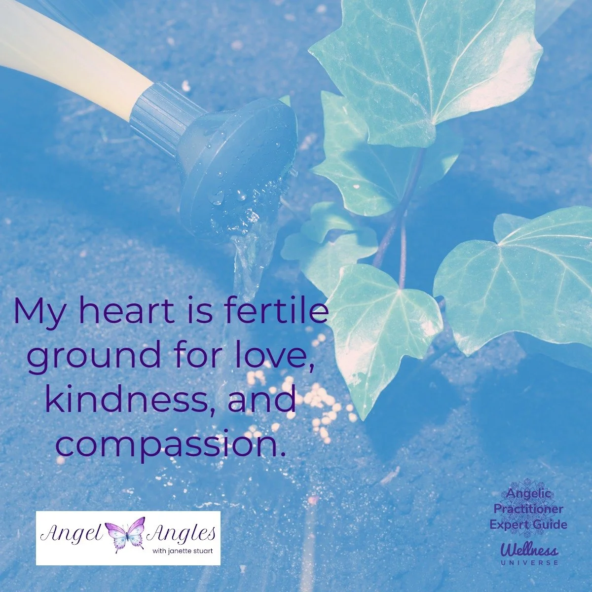 Hello and welcome to your Angel Affirmation for Tuesday, April 28, 2026. 

My heart is fertile ground for love, kindness, and compassion. 

Nurture it well, dear heart. 

Blessings of love, joy, and peace.
Love,
Janette 
.
.
#WUVIP #WUWorldChanger #C