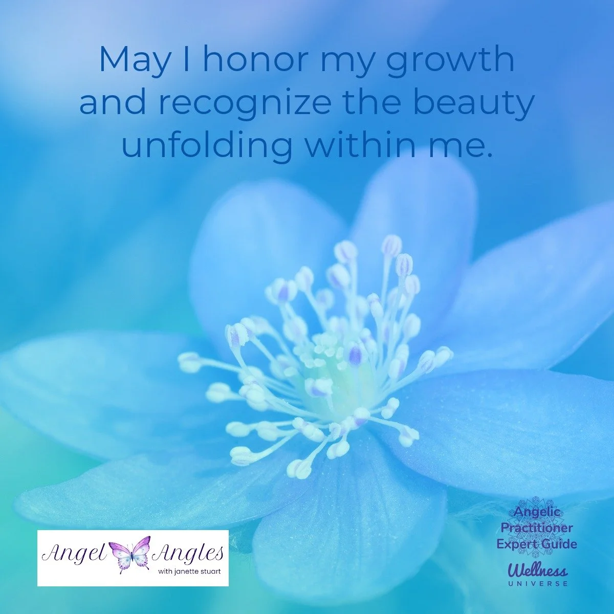 Happy Saturday, lovelies. Here's your Daily Angel Affirmation. 

May I honor my growth and recognize the beauty unfolding within me. 

Blessings of love, joy, and peace.
Love,
Janette 
.
.
#WUVIP #WUWorldChanger #AngelAffirmations #Unfolding