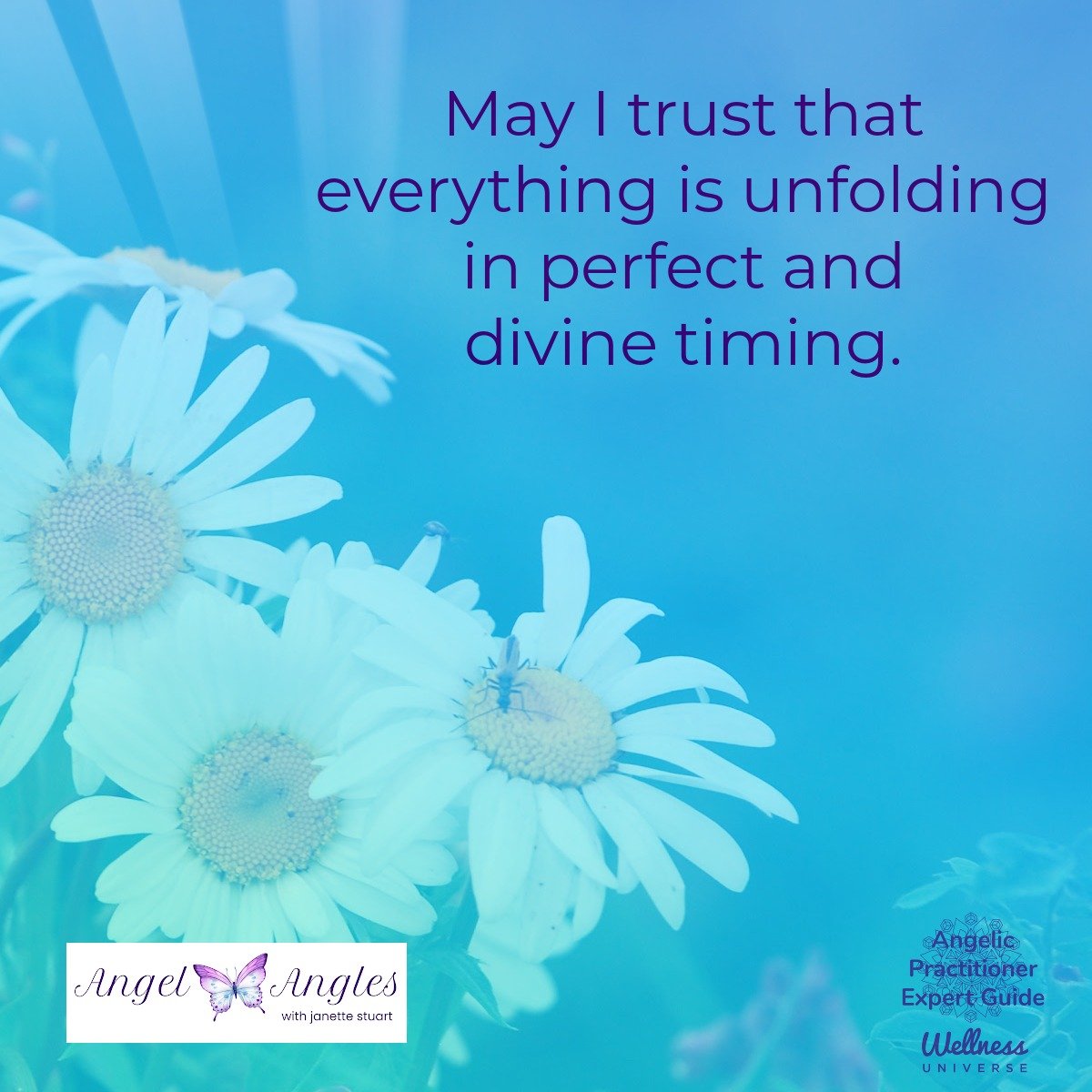 Hello and happy Monday, May 4, 2026. May the Fourth be with you. Here's your Angel Affirmation of the Day. 

May I trust that everything is unfolding in perfect and divine timing. 

Yes, amen, and so it is. 

Blessings of love, joy, and peace.
Love,
