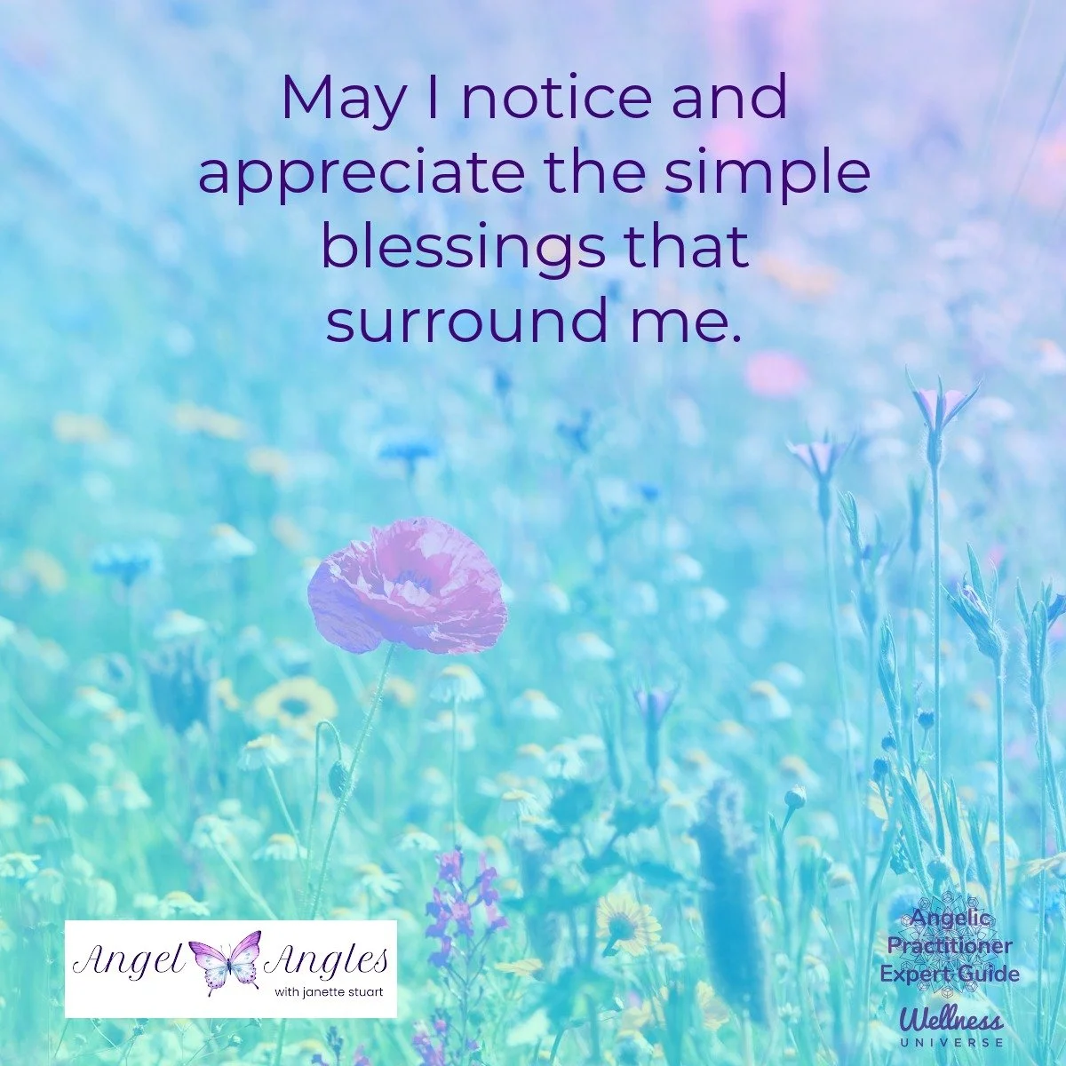 Hello and happy Wednesday, May 6, 2026. Here's your loving Angel Affirmation of the Day. 

May I notice and appreciate the simple blessings that surround me. 

Yes! Amen, and so it is. 

Blessings of love, joy, and peace.
Love,
Janette 
.
.
#WUVIP #W