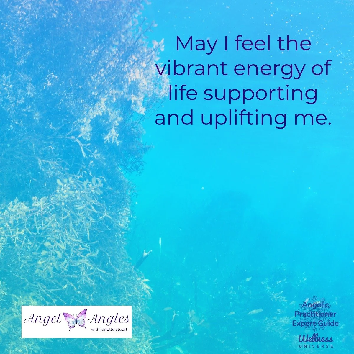 Hello and happy Saturday, May 9, 2026. Here's your Angel Affirmation of the Day. 

May i feel the vibrant energy of life supporting and uplifting me. 

Yes, amen, and so it is. 

Blessings of love, joy, and peace.
Love,
Janette 
.
.
#WUVIP #WUWorldCh
