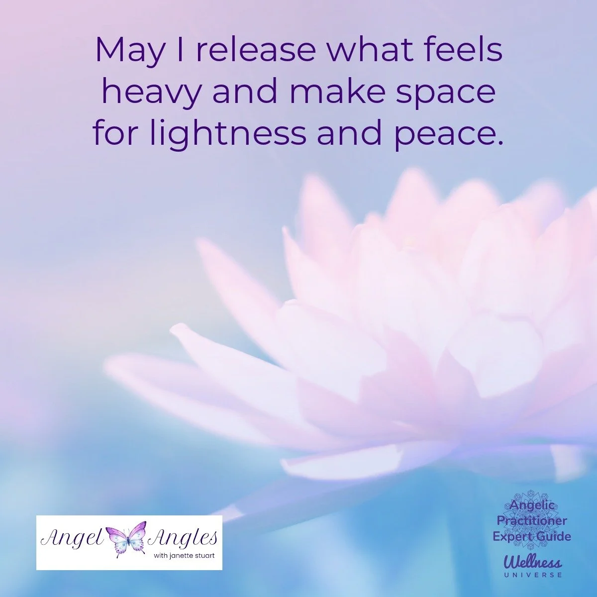 Hello and happy Monday, May 11, 2026. Here's your daily Angel Affirmation to bless body, mind, and spirit. 

May I release what feels heavy and make space for lightness and peace. 

Blessings of love, joy, and peace.
Love,
Janette 
.
.
#WUVIP #WUWorl