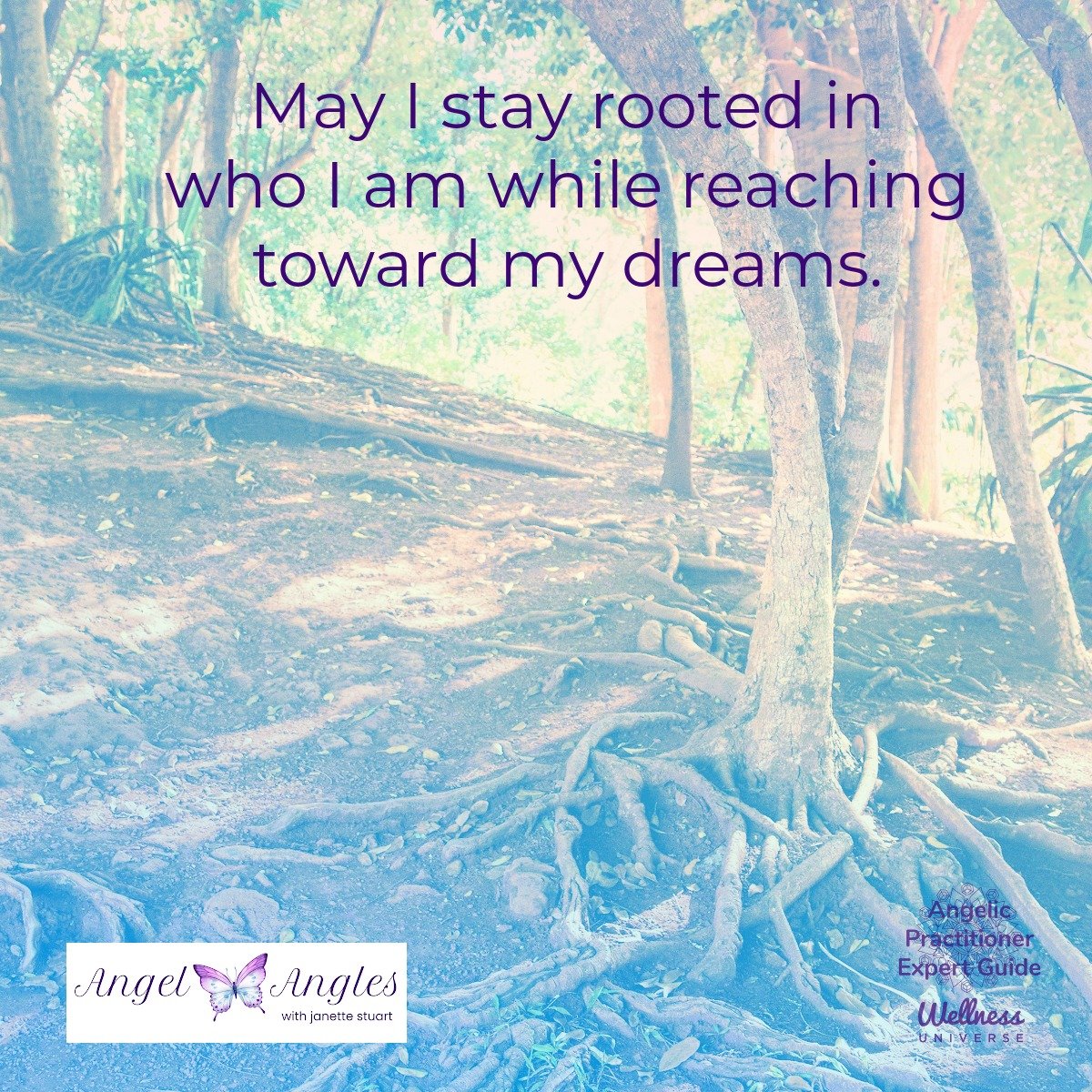 Hello and welcome to your Angel Affirmation for Friday, May 15, 2026. 

May I stay rooted in who I a while reaching toward my dreams. 

You are always loved and supported, dear heart. 
#
Blessings of love, joy, and peace. 
Love,
Janette 
.
.
#WUVIP #
