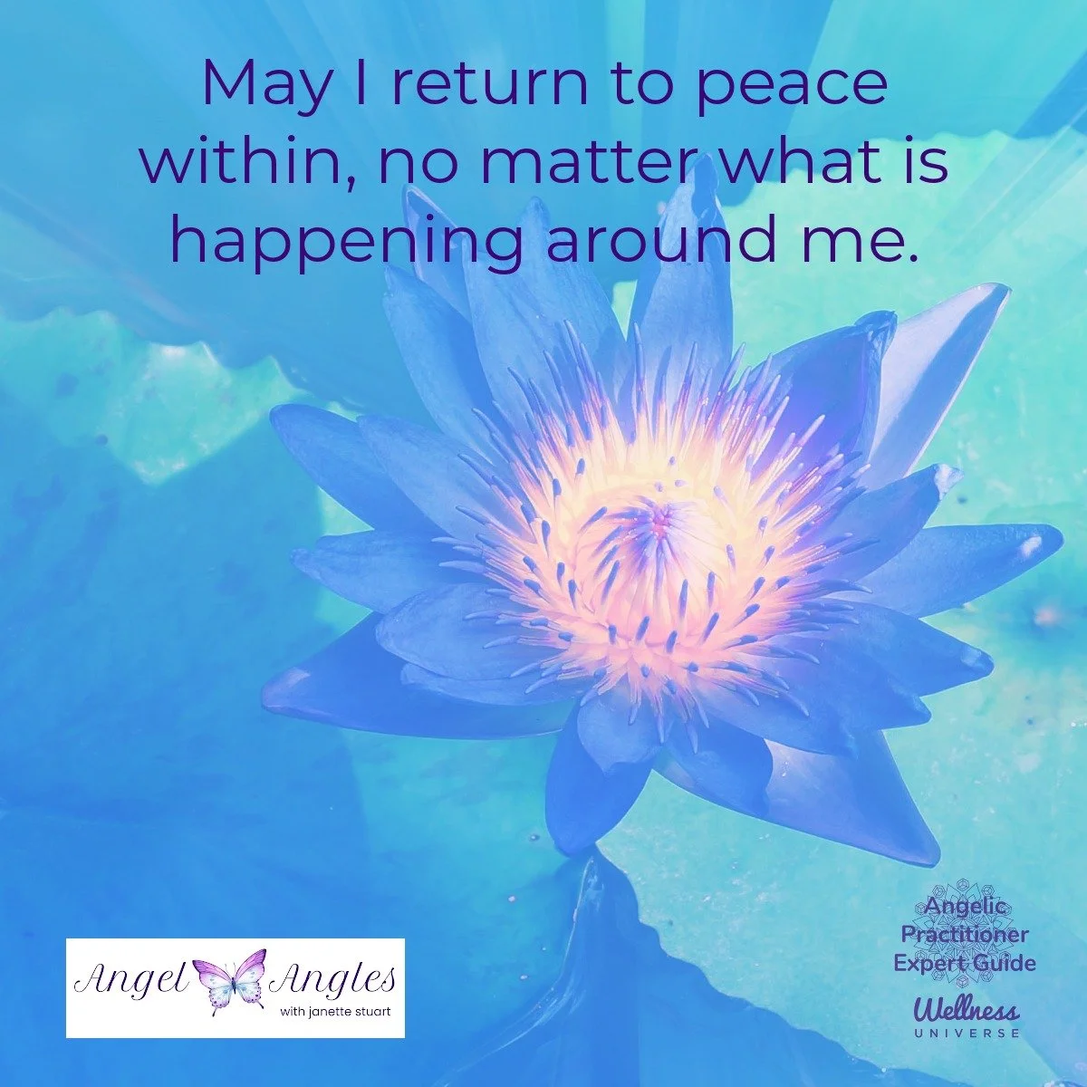 Hello and happy Wednesday, May 20, 2026. Here's your Angel Affirmation of the Day. 

May I return to peace within, no matter what is happening around me. 

Be the calm in the eye of the storm, dear heart. 

Blessings of love, joy, and peace.
Love,
Ja