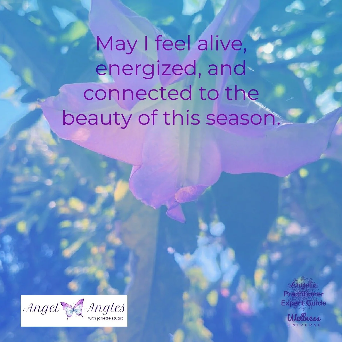 Hello and happy Tuesday, May 26, 2026. Here's your Angel Affirmation of the Day. 

May I feel alive, energized, and connected to the beauty of this season. 

Blessings of love, joy, and peace.
Love,
Janette 
.
.
#WUVIP #WUWorldChanger #AngelAffirmati
