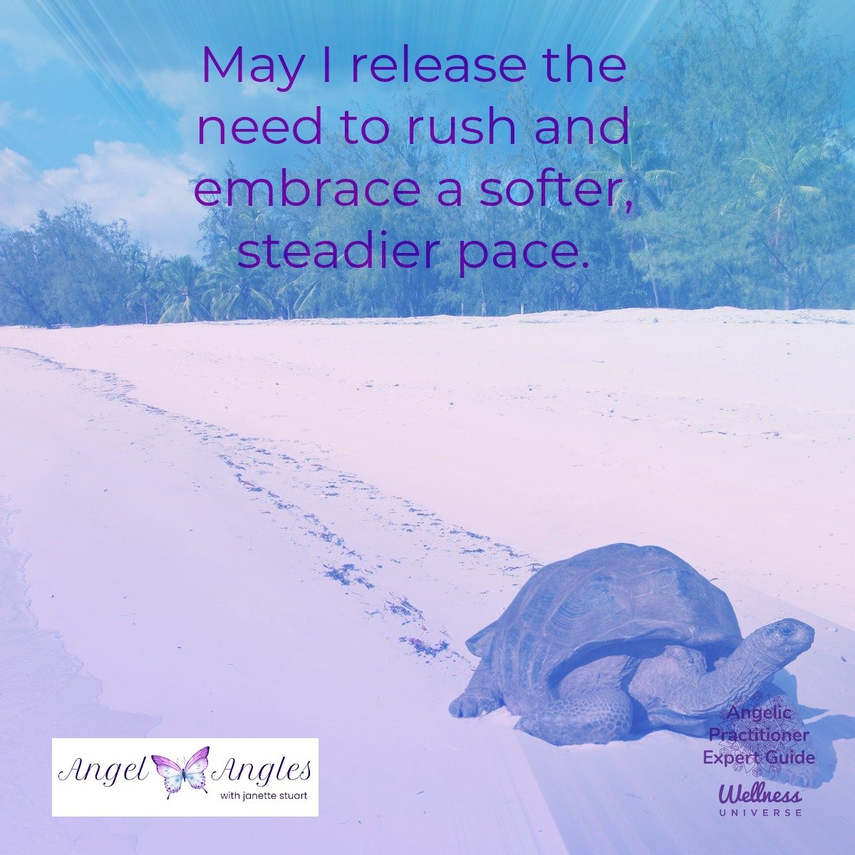 Hello and welcome to your Angel Affirmation for Friday, May 29, 2026. 

May I release the need to rush and embrace a softer, steadier pace. 

Yes, amen, and so it is. 

Blessings of love, joy, and peace. 
Love,
Janette 
.
.
#WUWorldChanger #SlowDown 