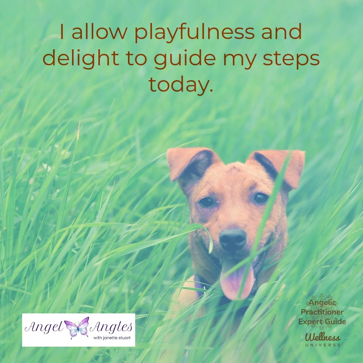 Hello and happy Sunday, June 7, 2026. Here's your Angel Affirmation of the Day. 

I allow playfulness and delight to guide my steps today. 

Blessings of love, joy, and peace.
Love,
Janette 
.
.
#WUWorldChanger #Playfulness #AngelAffirmations