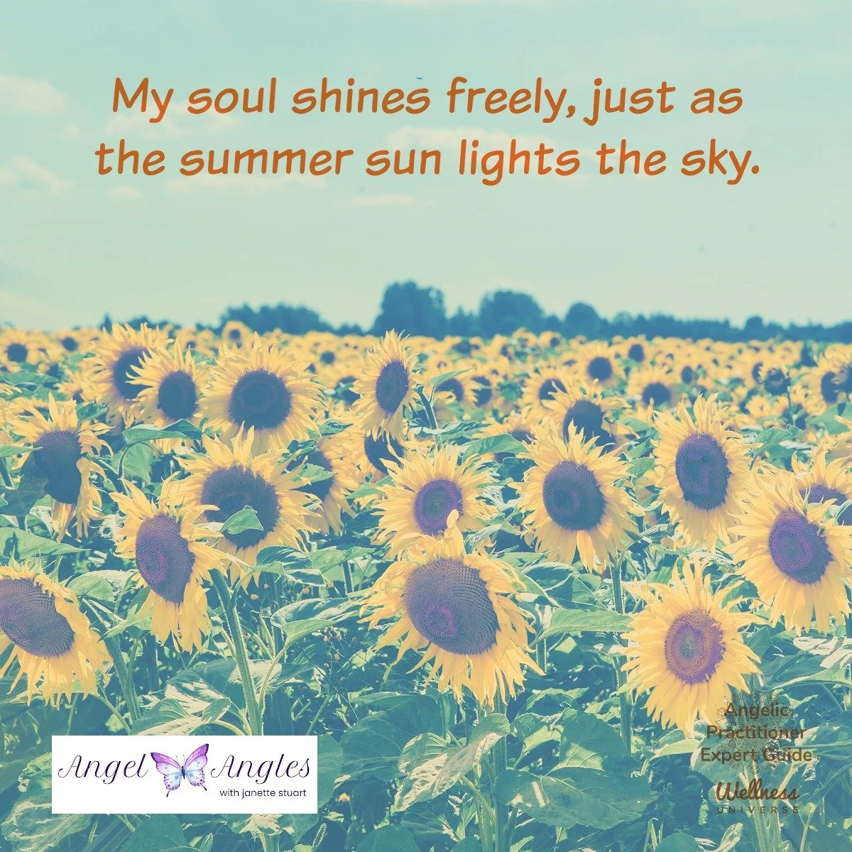 Hello and happy Wednesday, June 10, 2026. Here's your Angel Affirmation of the Day. 

My soul shines freely, just as the summer sun lights the sky. 

Blessings of love, joy, and peace.
Love,
Janette 
.
.
#WUWorldChanger #Sunflowers #ShineYourLight #A