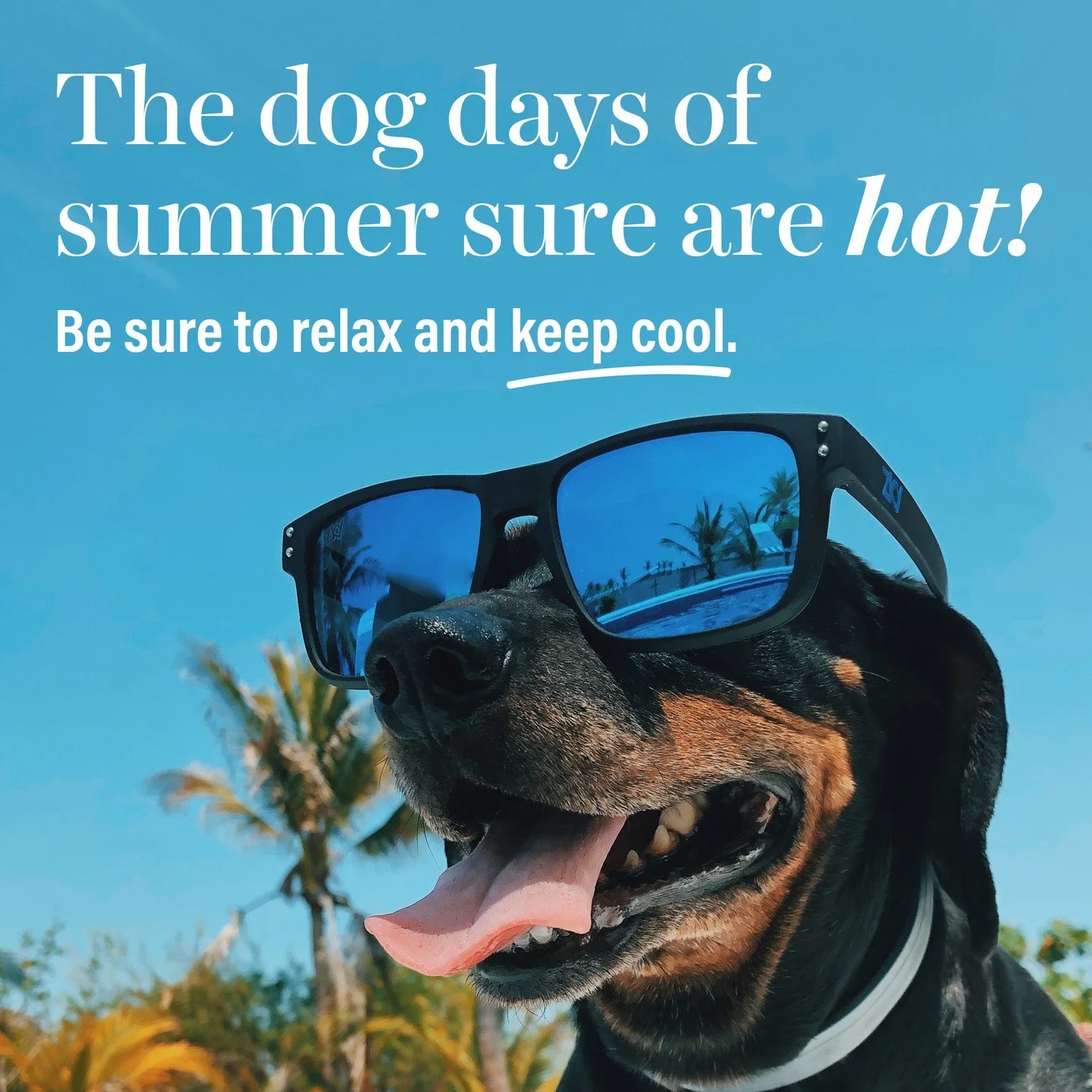 How do you celebrate the hottest days of summer without breaking a sweat? 😓 Embrace the summer vibes in a cool swimming pool 🏊, on the shores of a lake or the ocean 🏖, or in the refreshing shade of a lush forest 🌳. Or maybe even indulge in some s