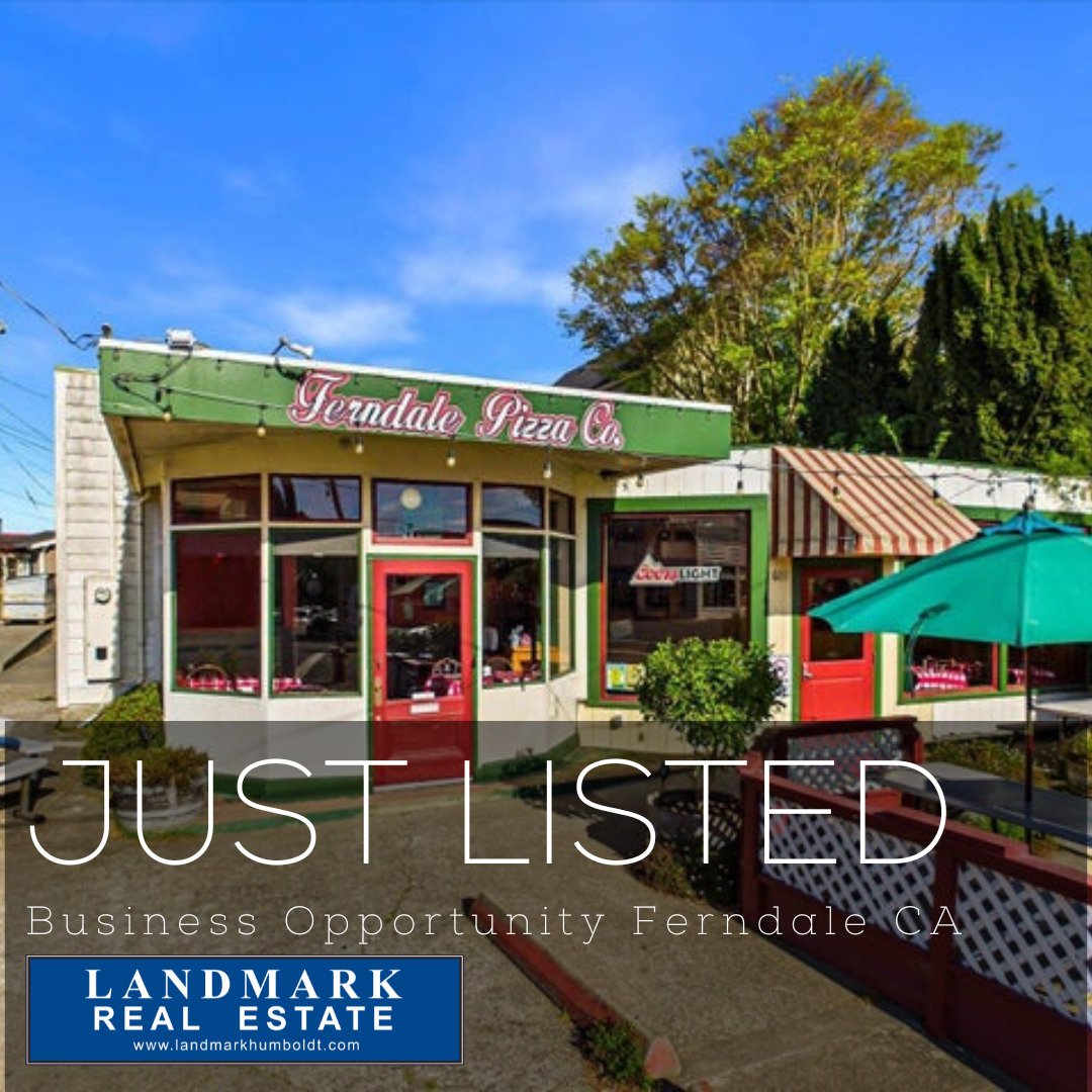 Business Opportunity! Ferndale Pizza Co., High traffic location, furniture, fixtures, inventory, beer &amp; wine license, indoor &amp; outdoor dining, ADA restrooms, employee restroom, private office, on-site parking, Real Estate sold separately, loc
