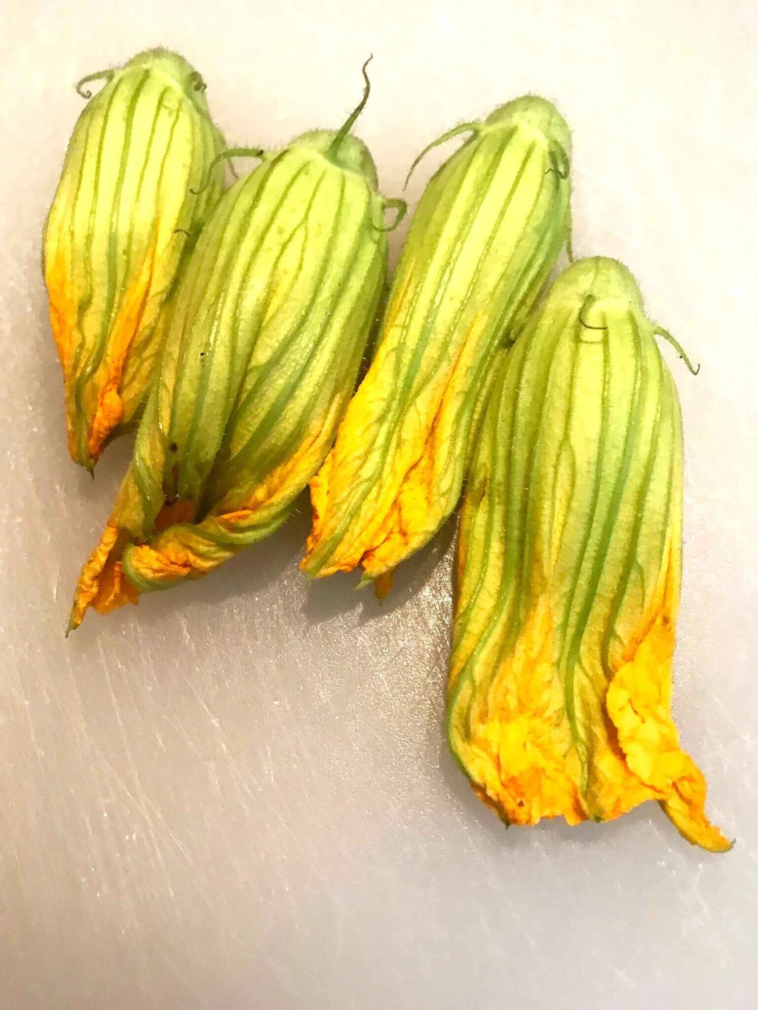 Fried Squash Blossoms