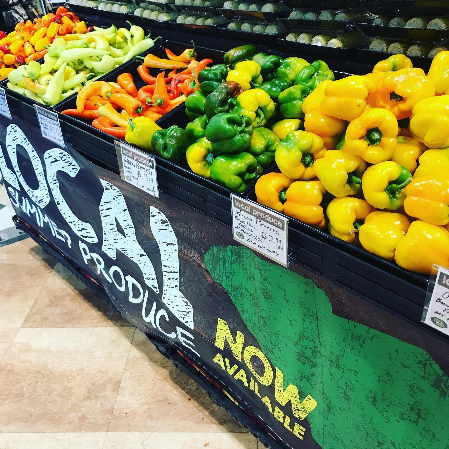 What a sight 🌶🌶🌶from your friendly local farm 🫑🫑🫑🙌#certifiedscgrown #localfarmers #shoplocal #chseatslocal