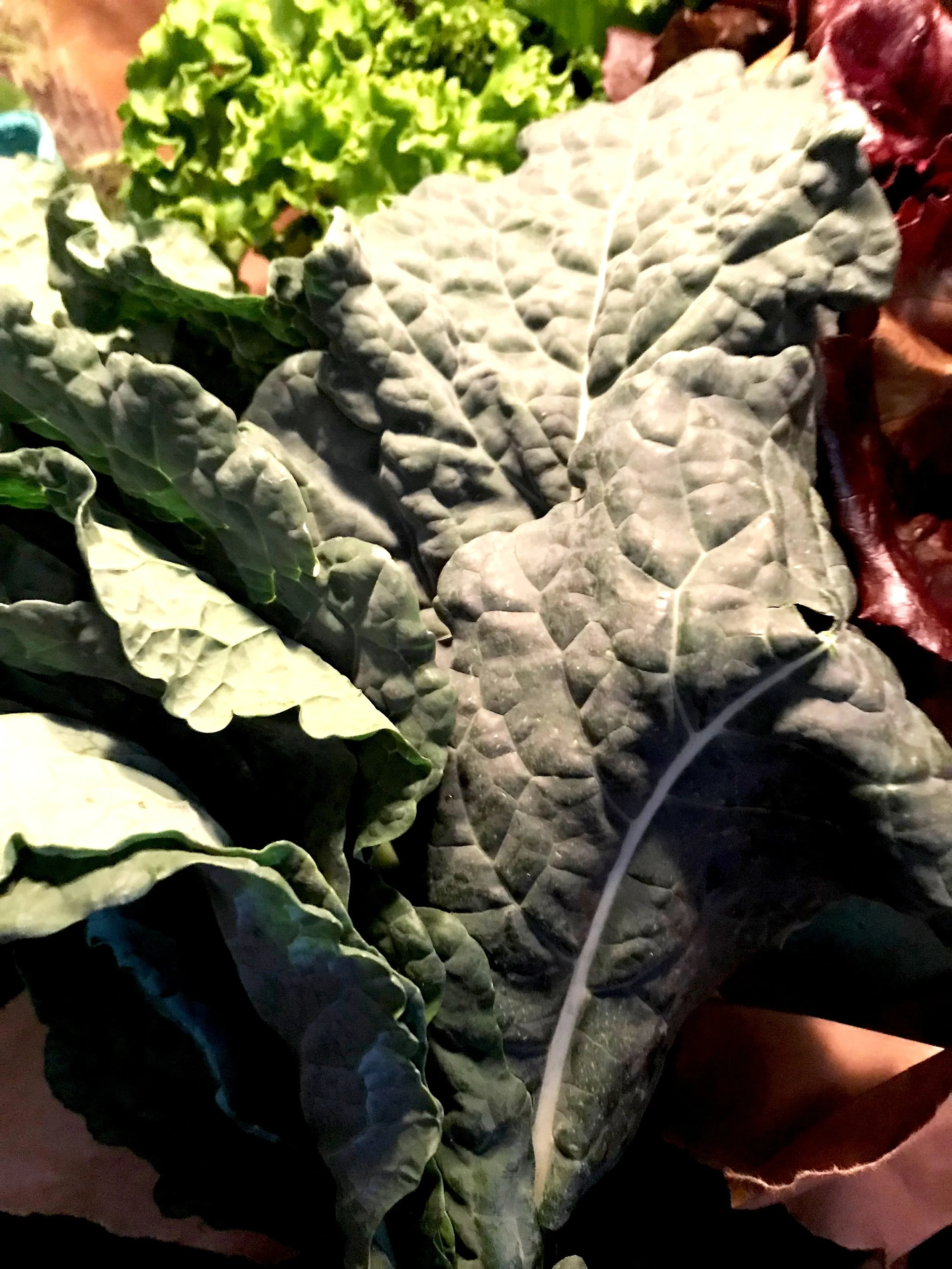 Braised White Beans and Greens