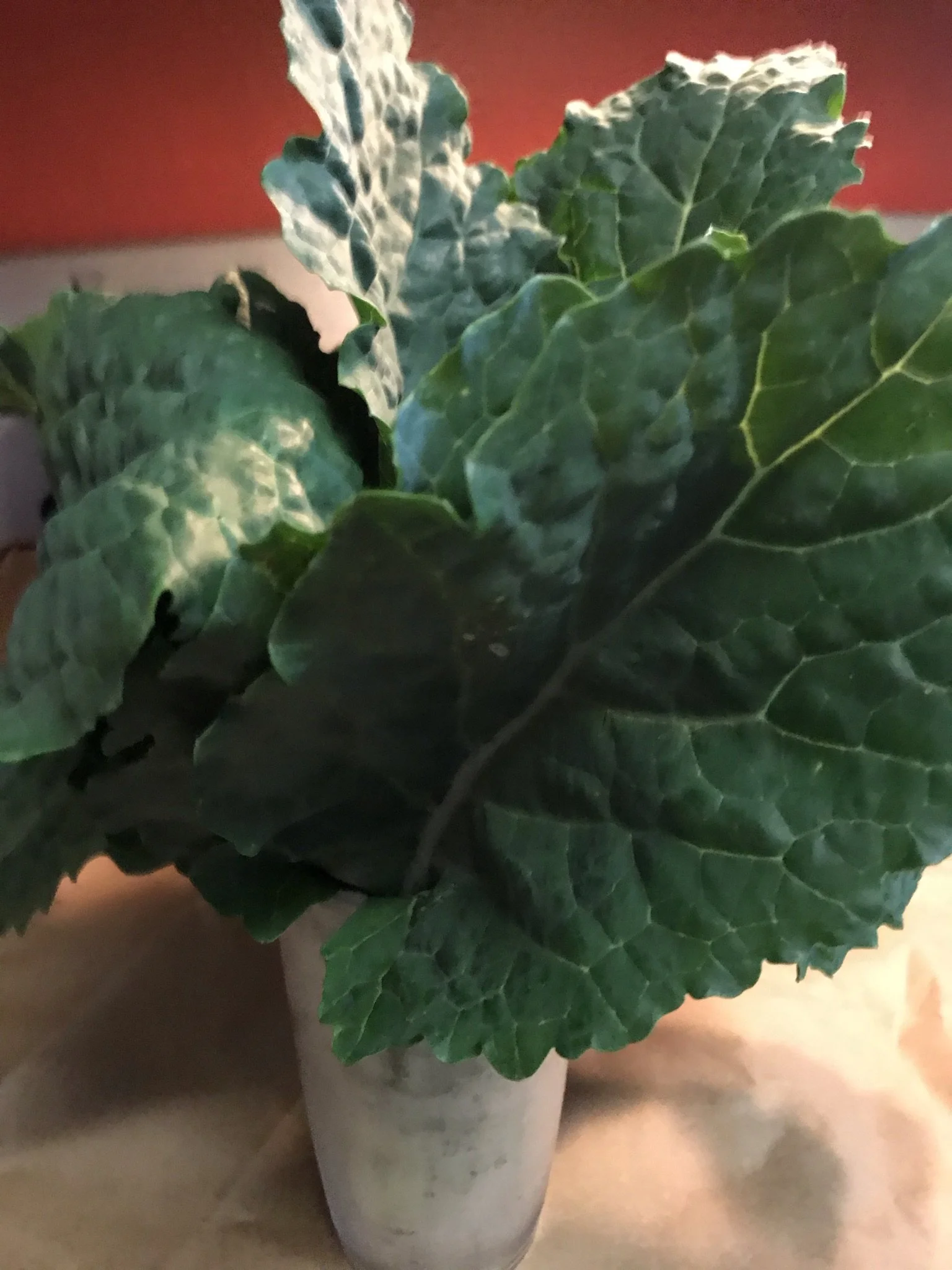 Coconut Creamed Kale