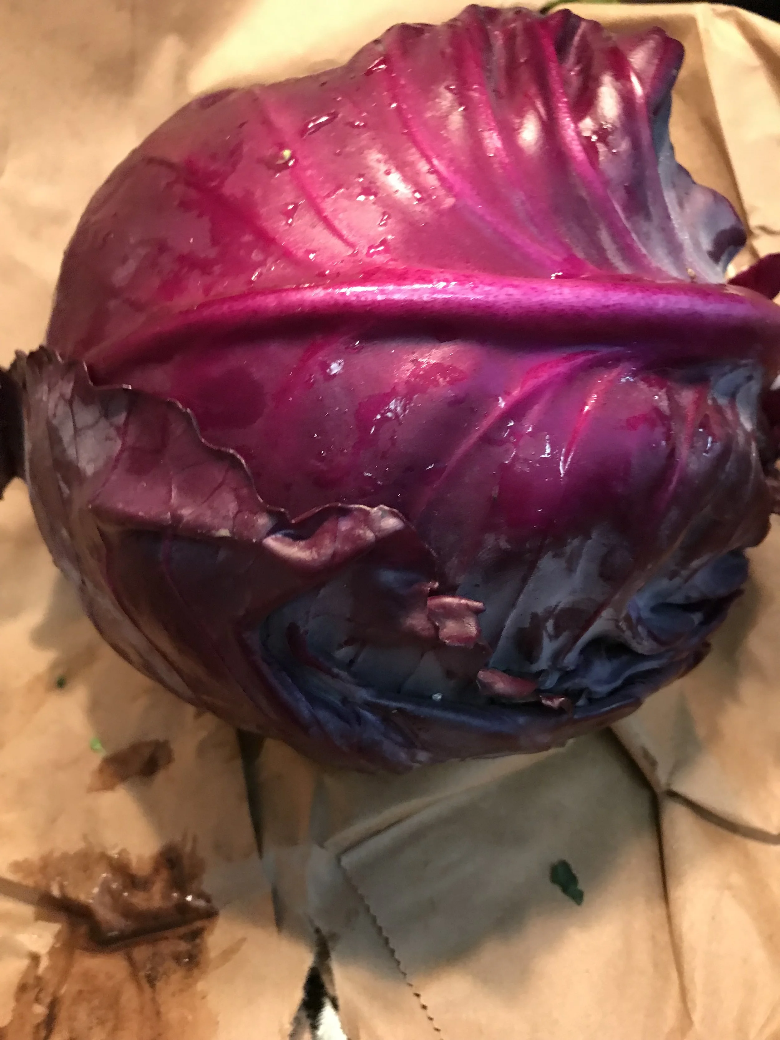 Pork Tenderloin With Cider-Glazed Red Cabbage