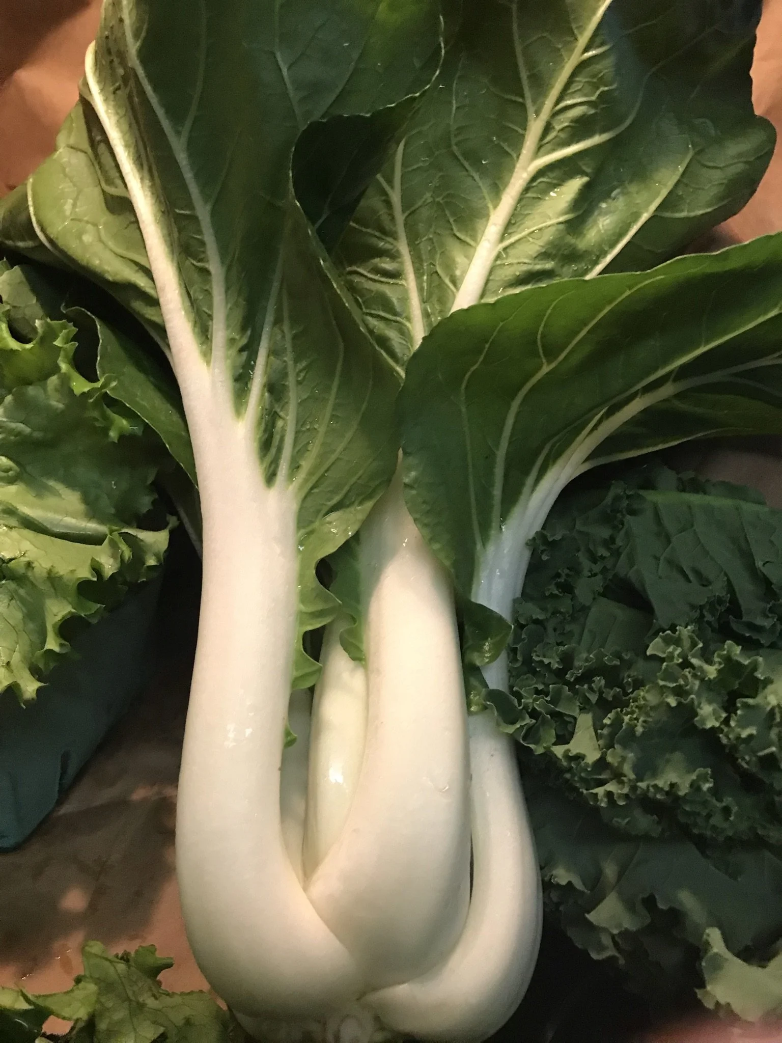 Bok Choy  Sauté