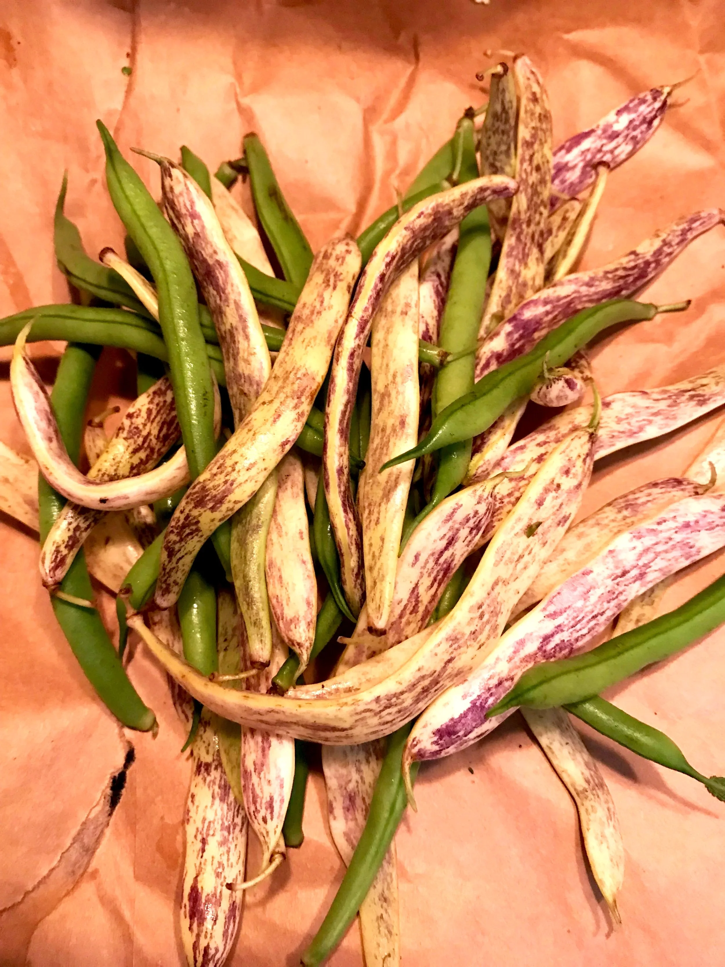 Romano Beans with Mustard Vinaigrette and Walnuts