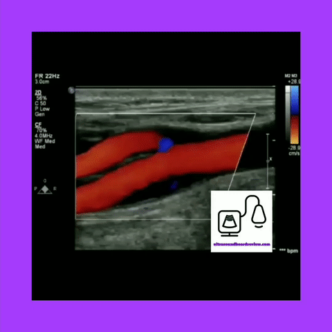physicus color mode physicus color mode