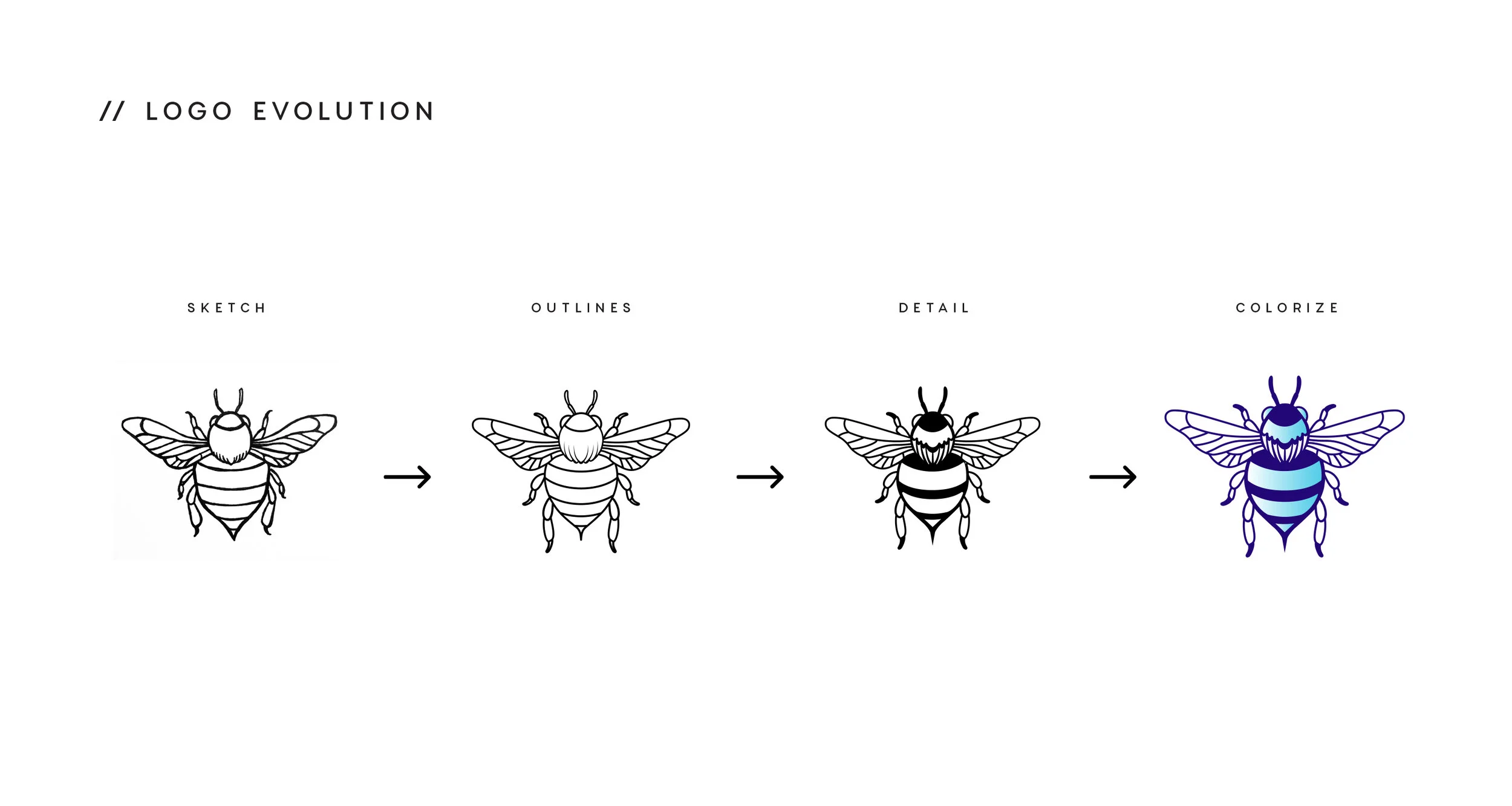 Logo Evolution.jpg