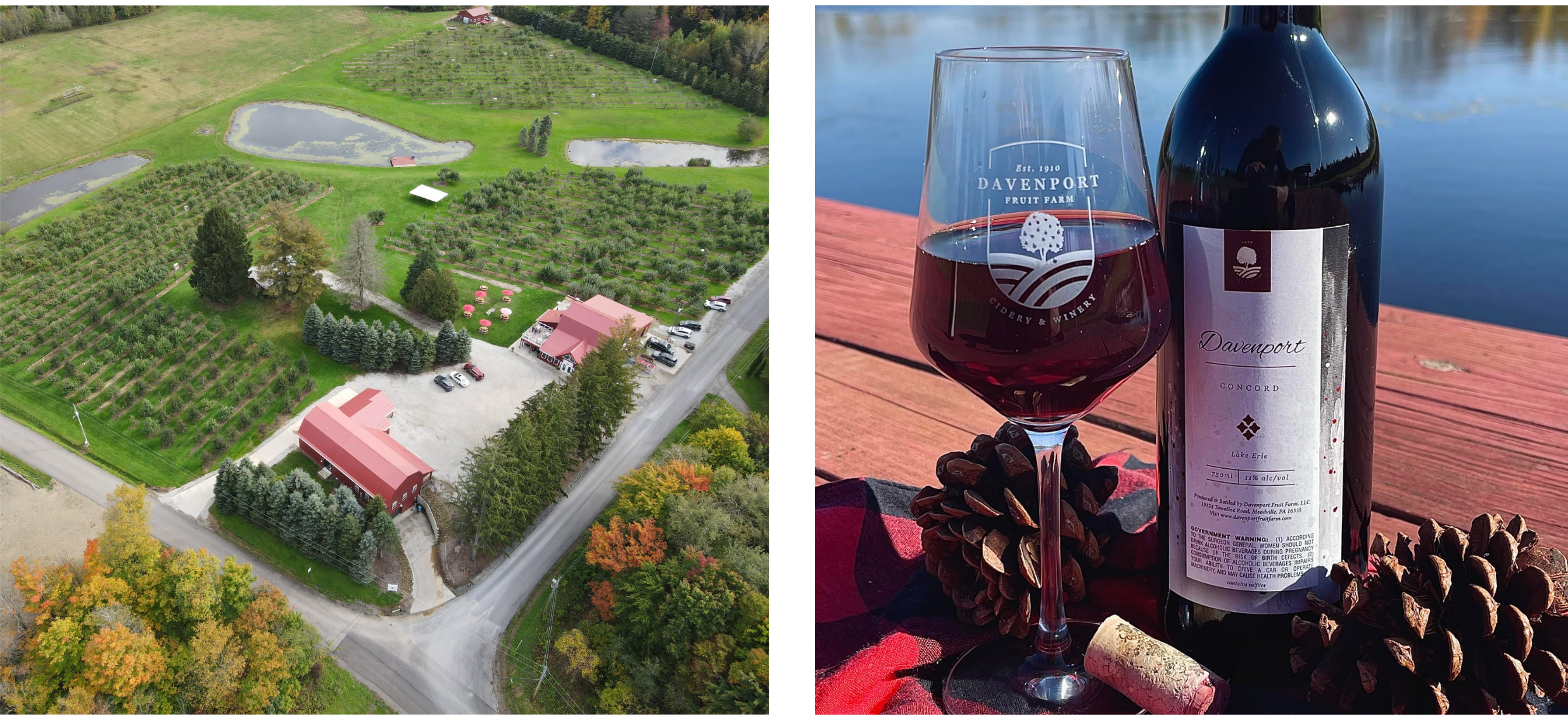 Screen Shot 2022-04-25 at 2.02.12 PM.png