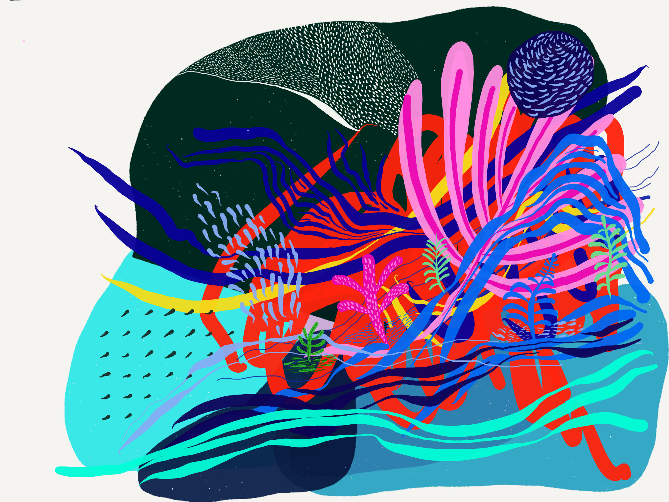 BAD6B5A9-B0B3-480B-9BEF-276B9FDD513F.png