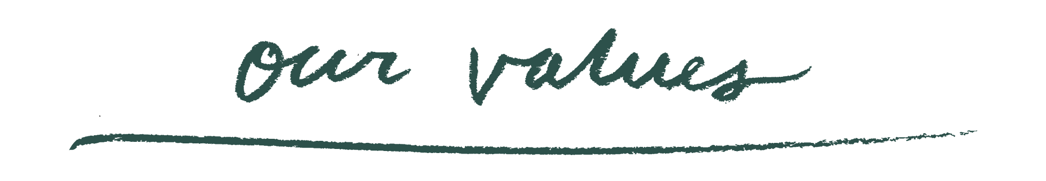 values-banner-3.png
