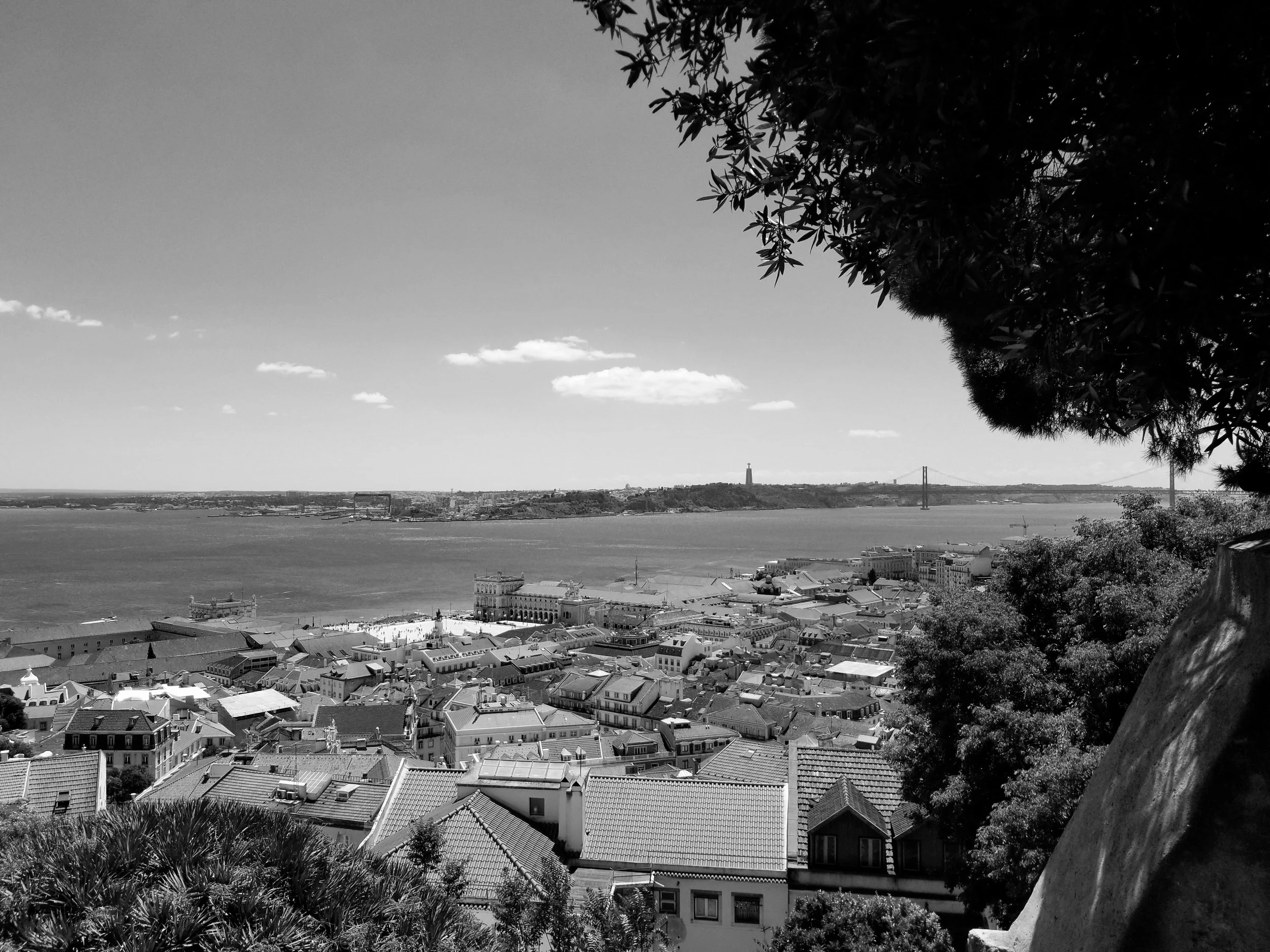 20170518_145020.jpg